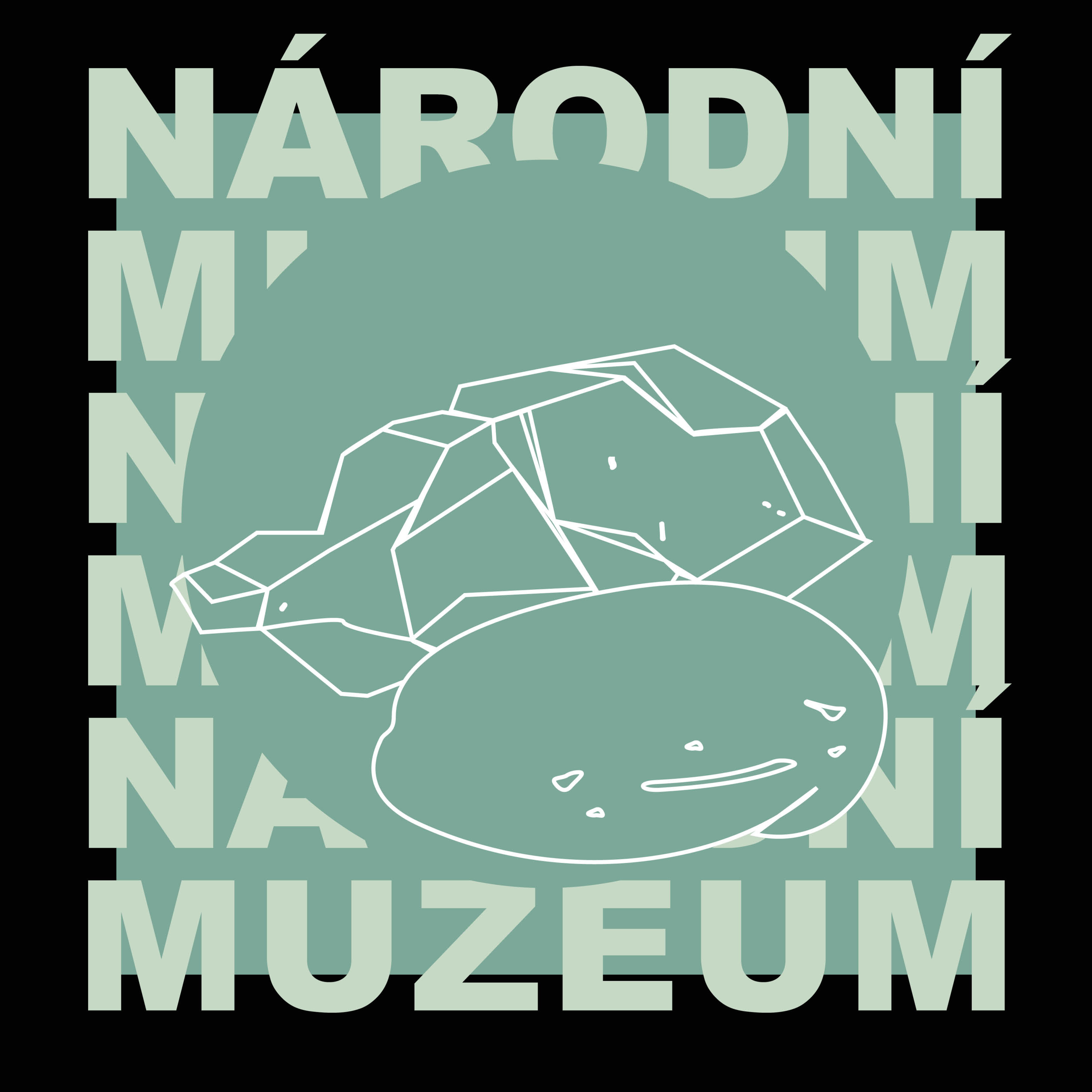 Tajemství Národního muzea