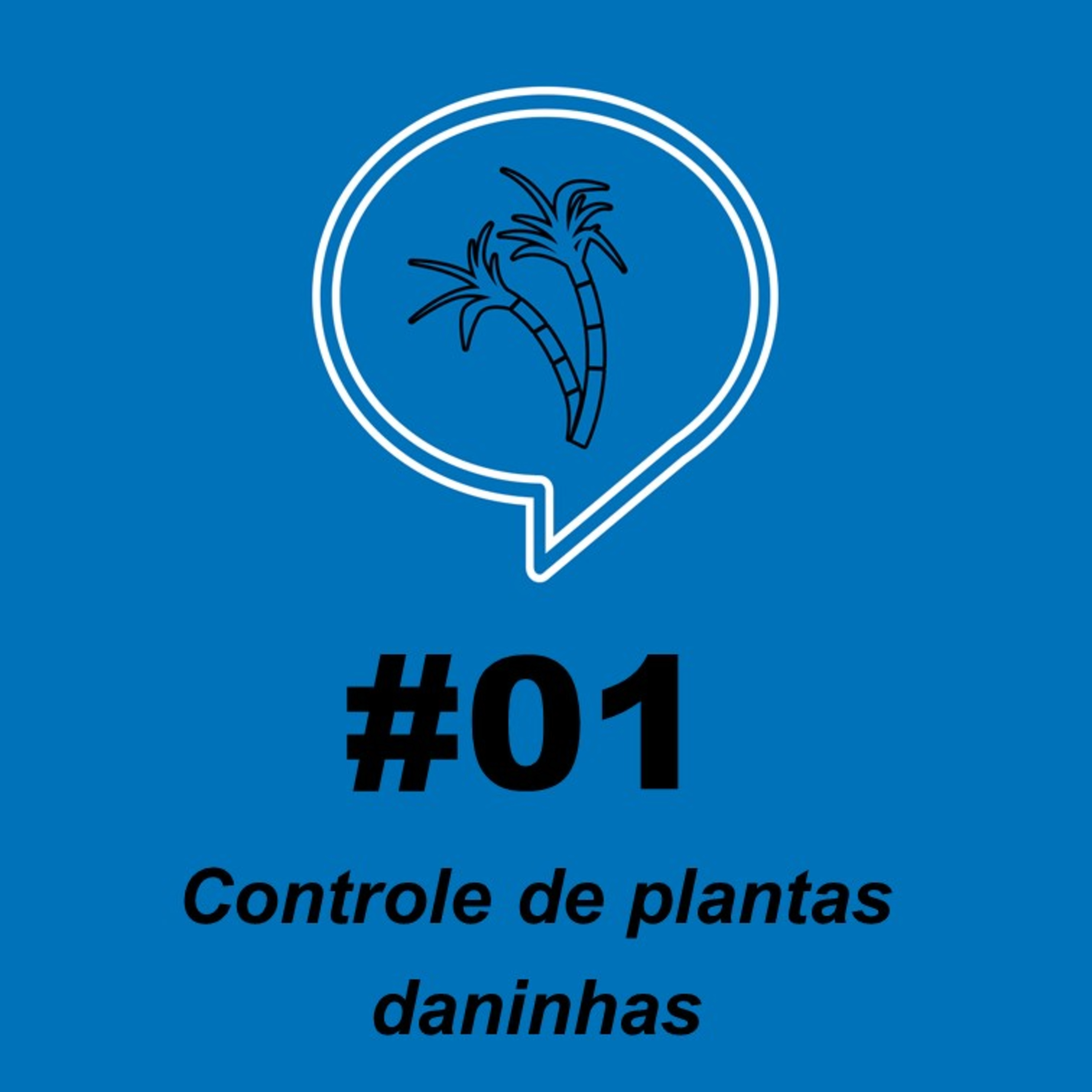 Papo de Canavial