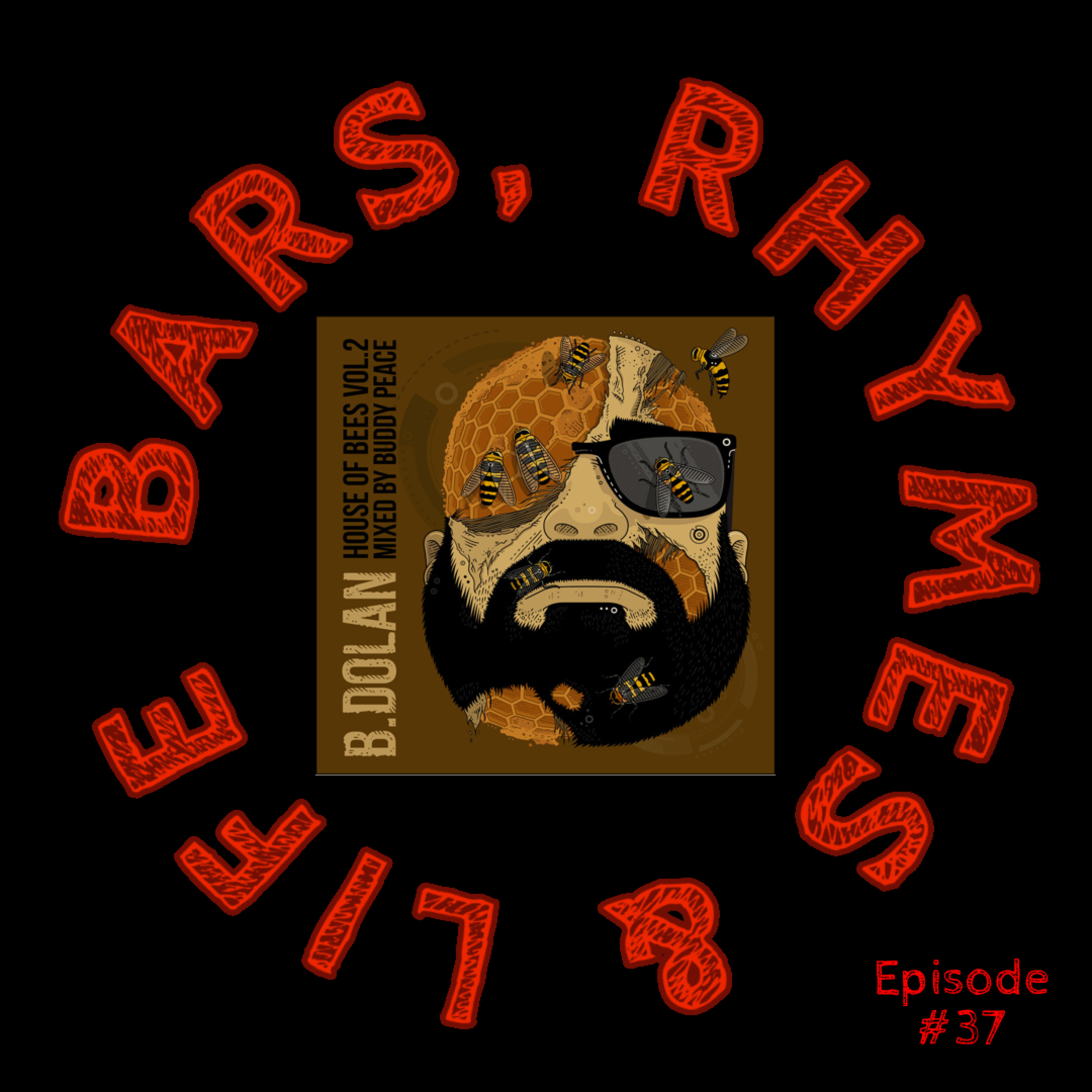 Bars, Rhymes & Life