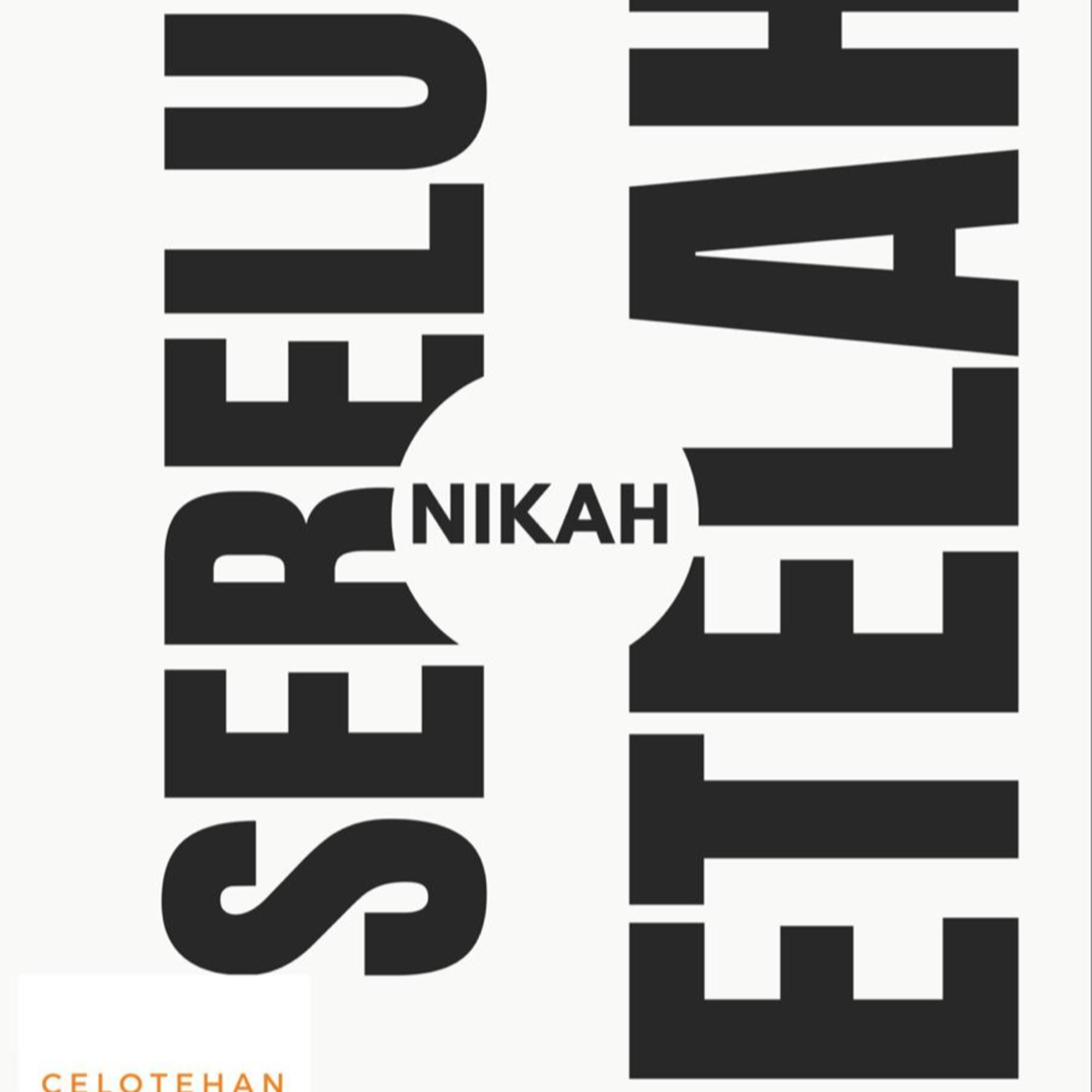 Sebelum vs. Setelah Menikah episode artwork