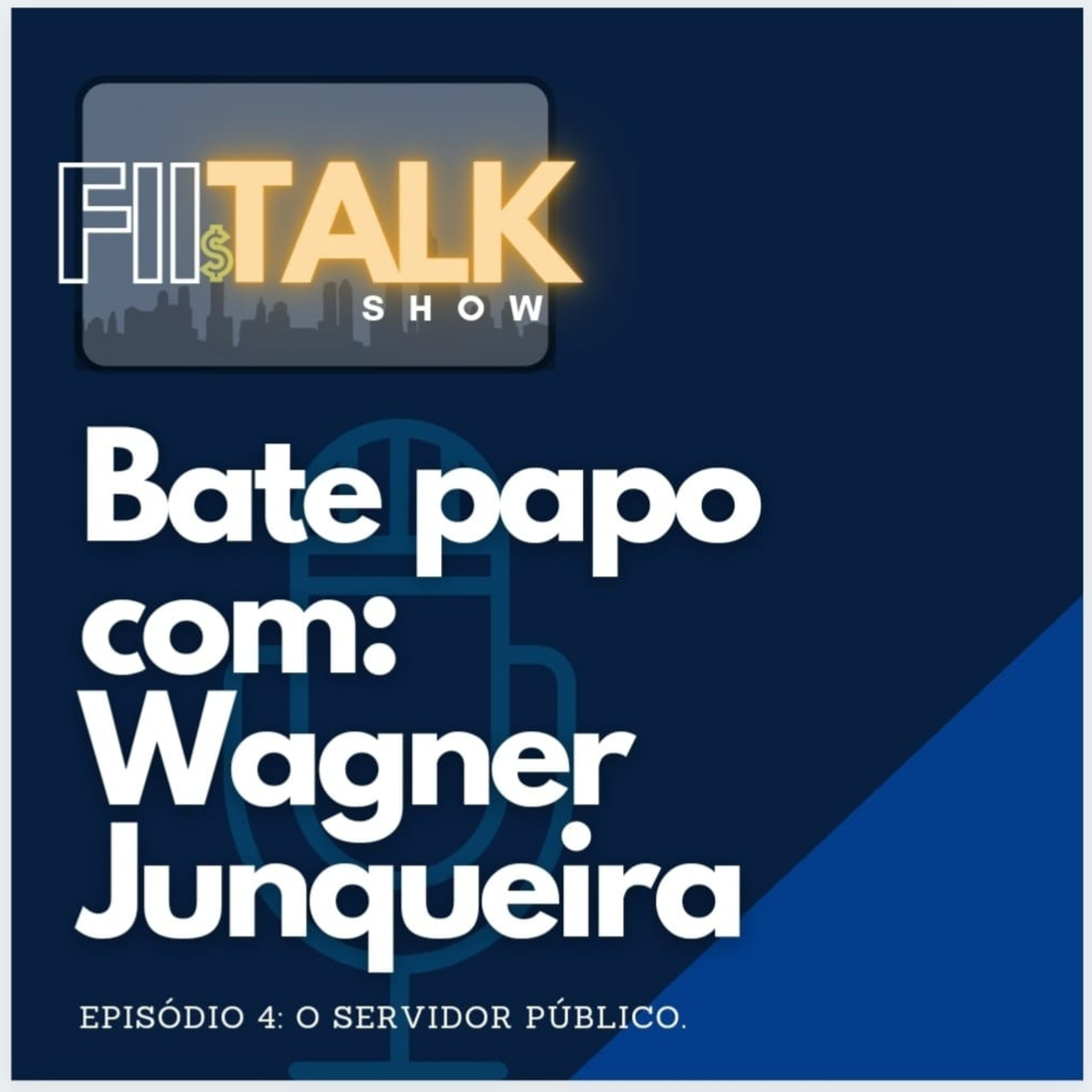 FII Talk Show