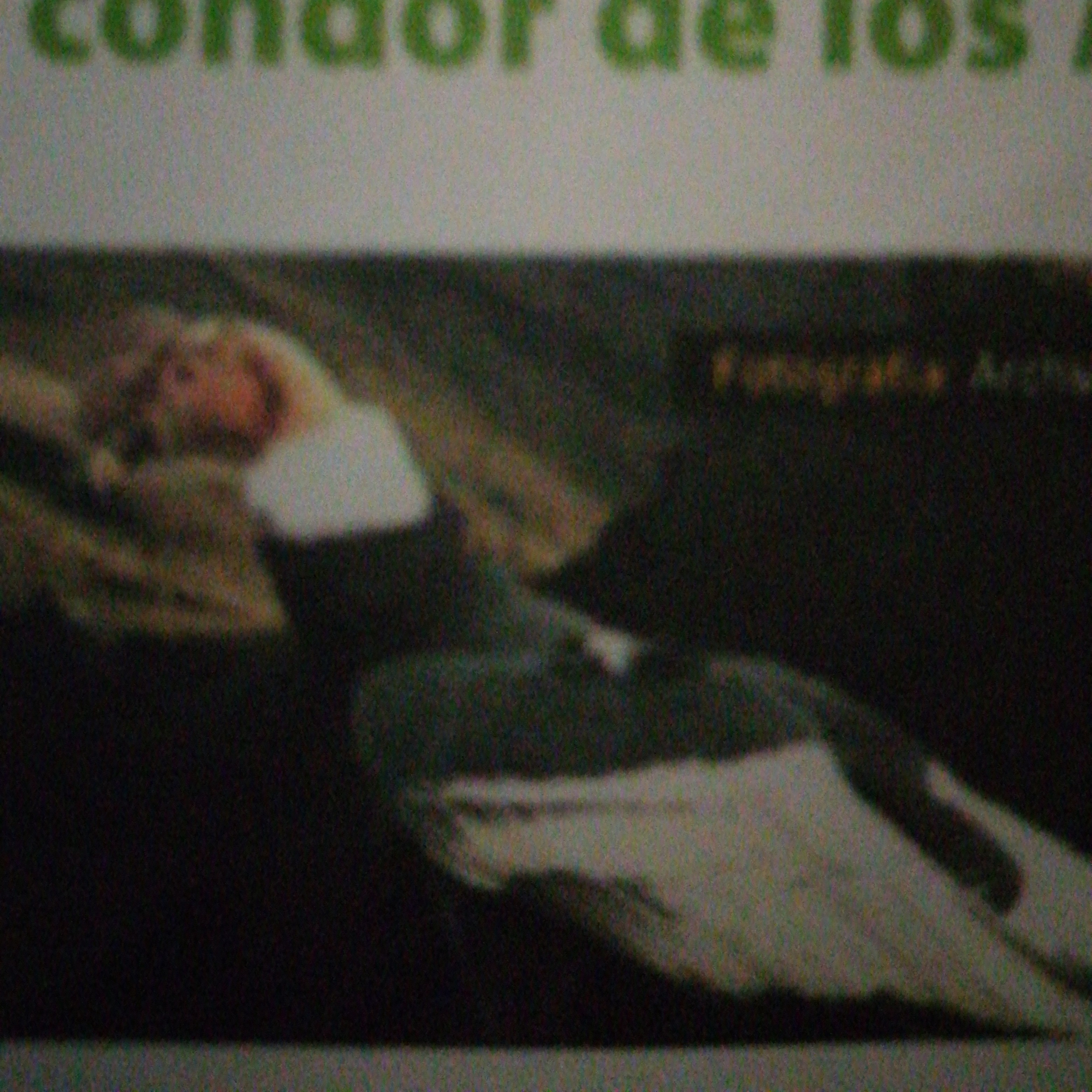 La Piel Del Cocodrilo. David Buelvas 2A.
