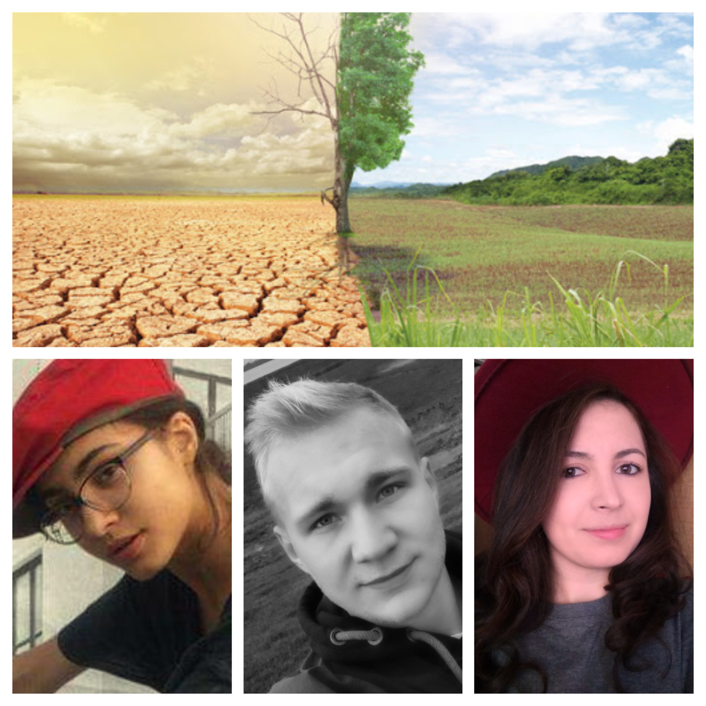 The consequences of climate change in agriculture