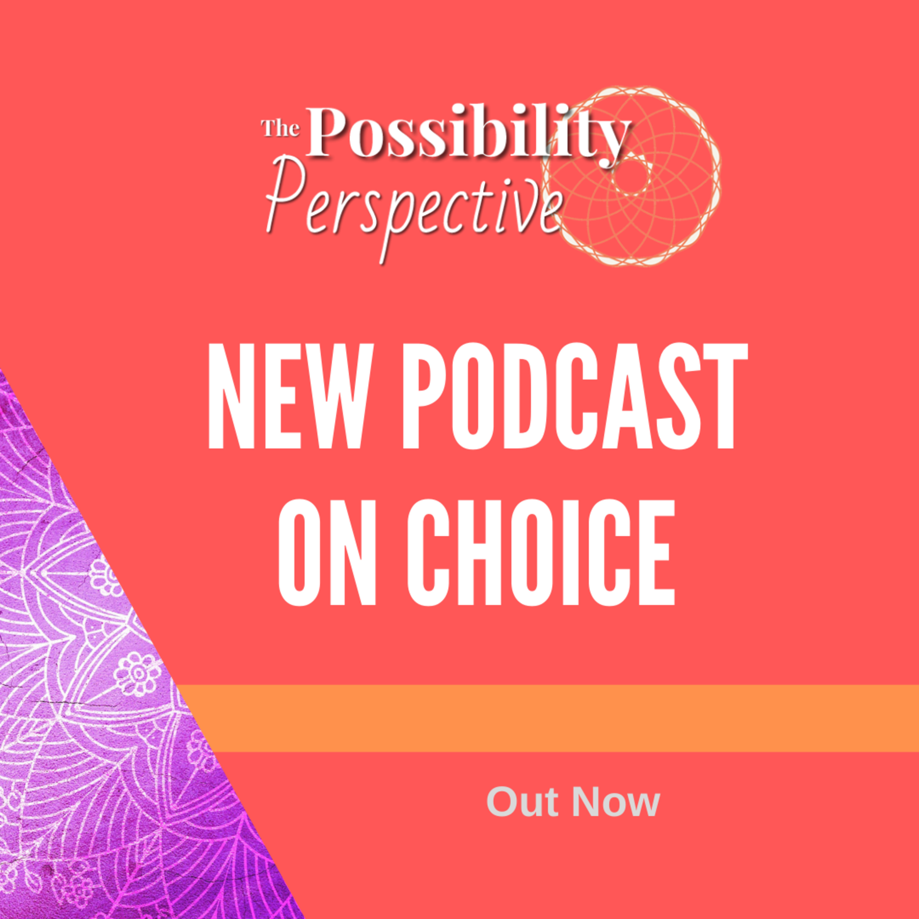 The Possibility Perspective