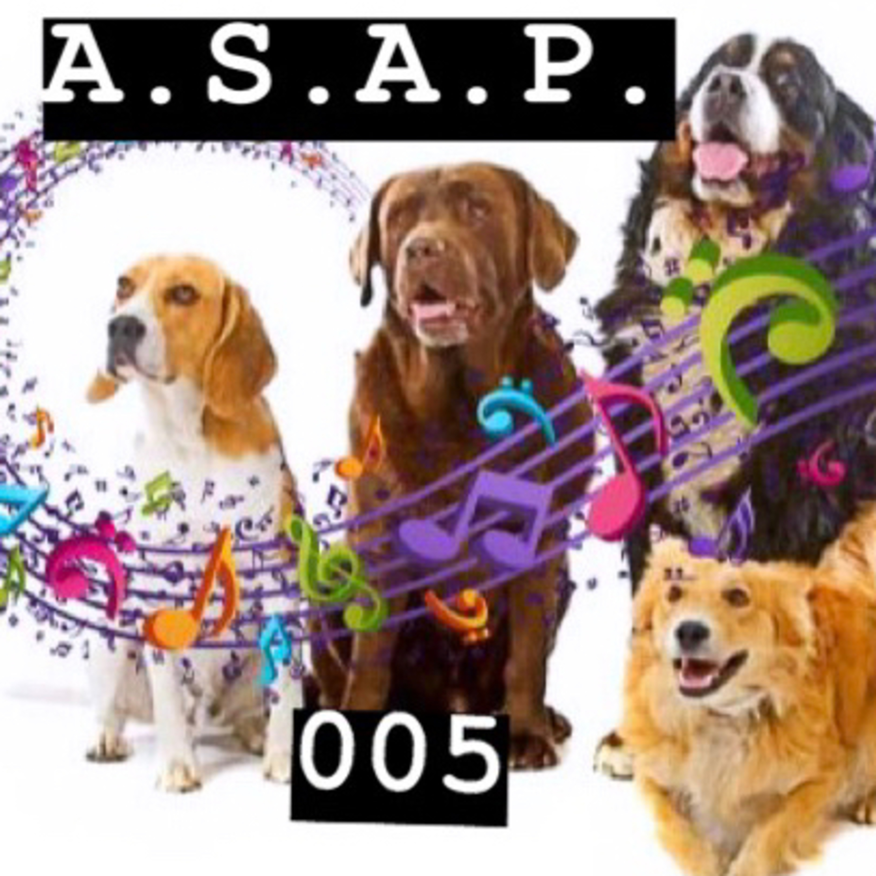 Dogs & Music (A.S.A.P. 005) episode artwork