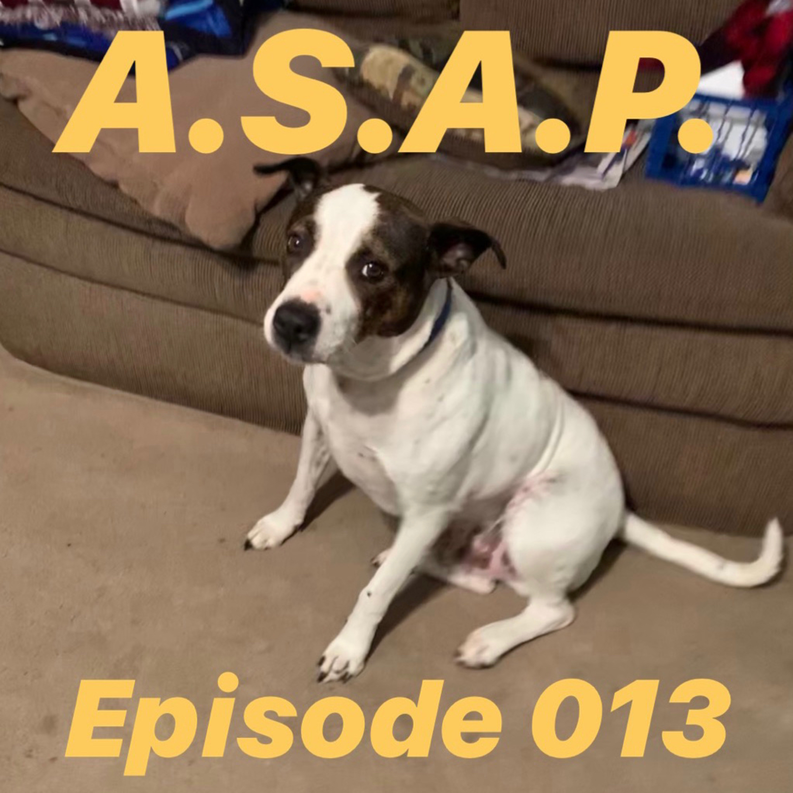 NERD IT UP PART 2! / PETEY UPDATE!!! (A.S.A.P. 013) episode artwork