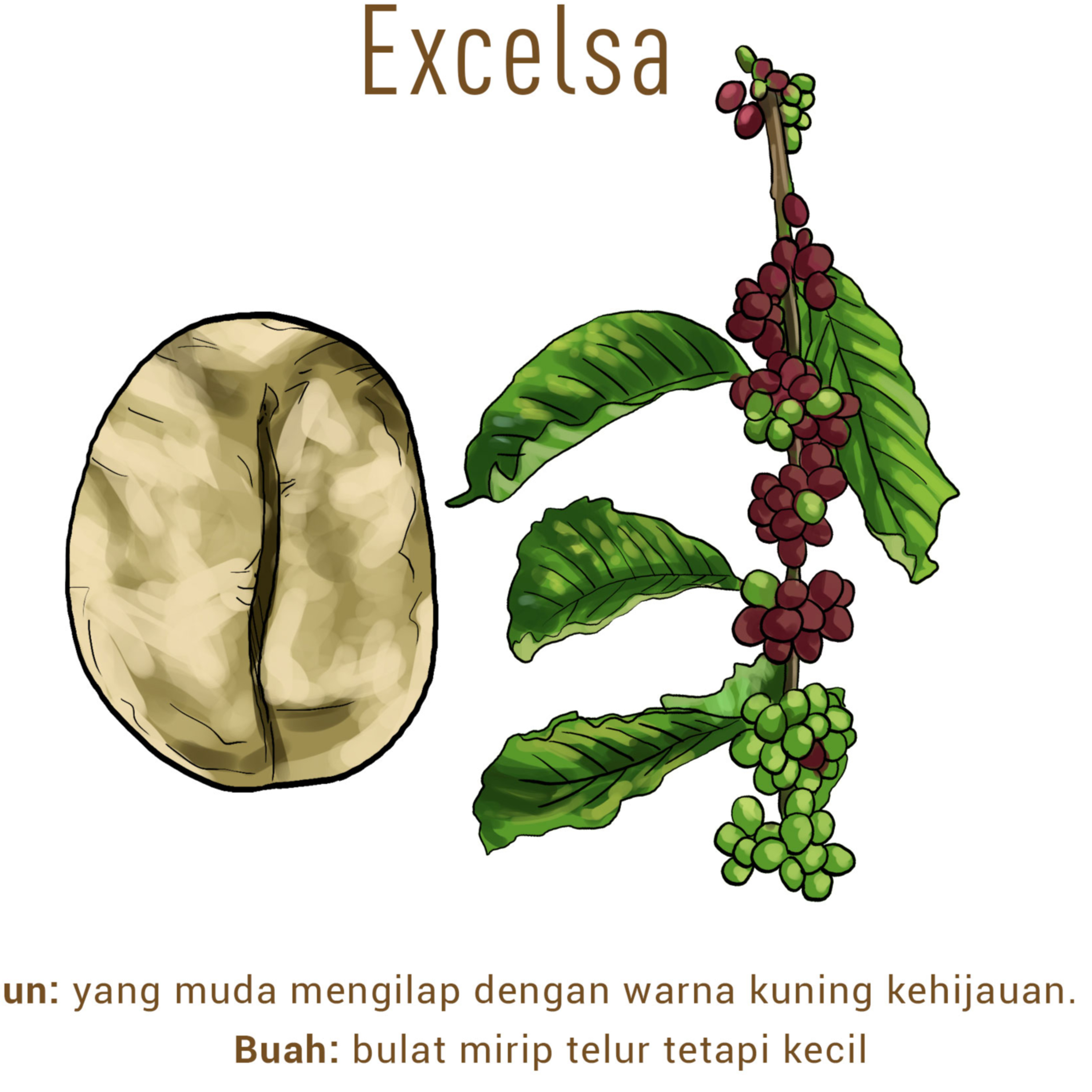 Kicau Rakyat (KR53) Podcast
