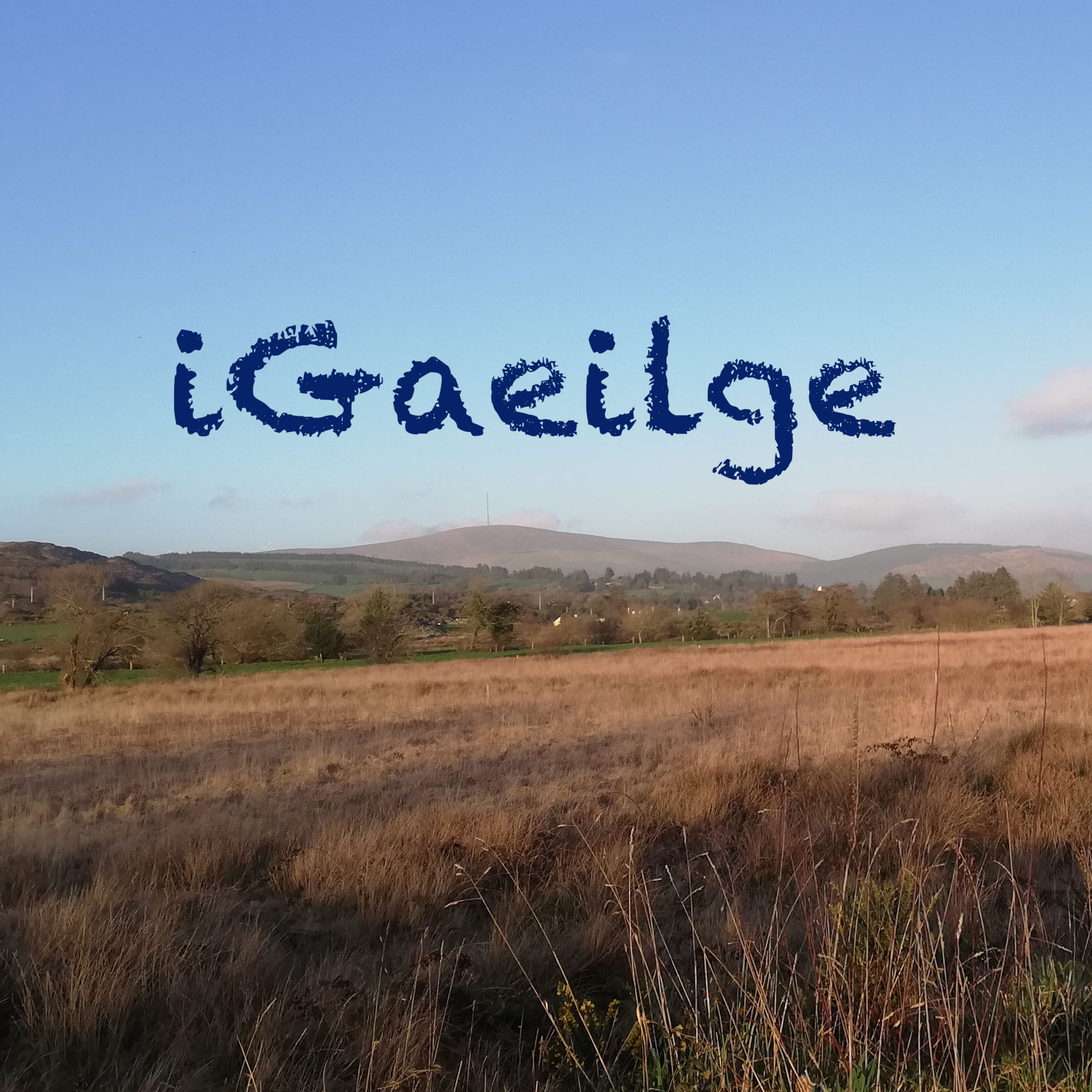 iGaeilge