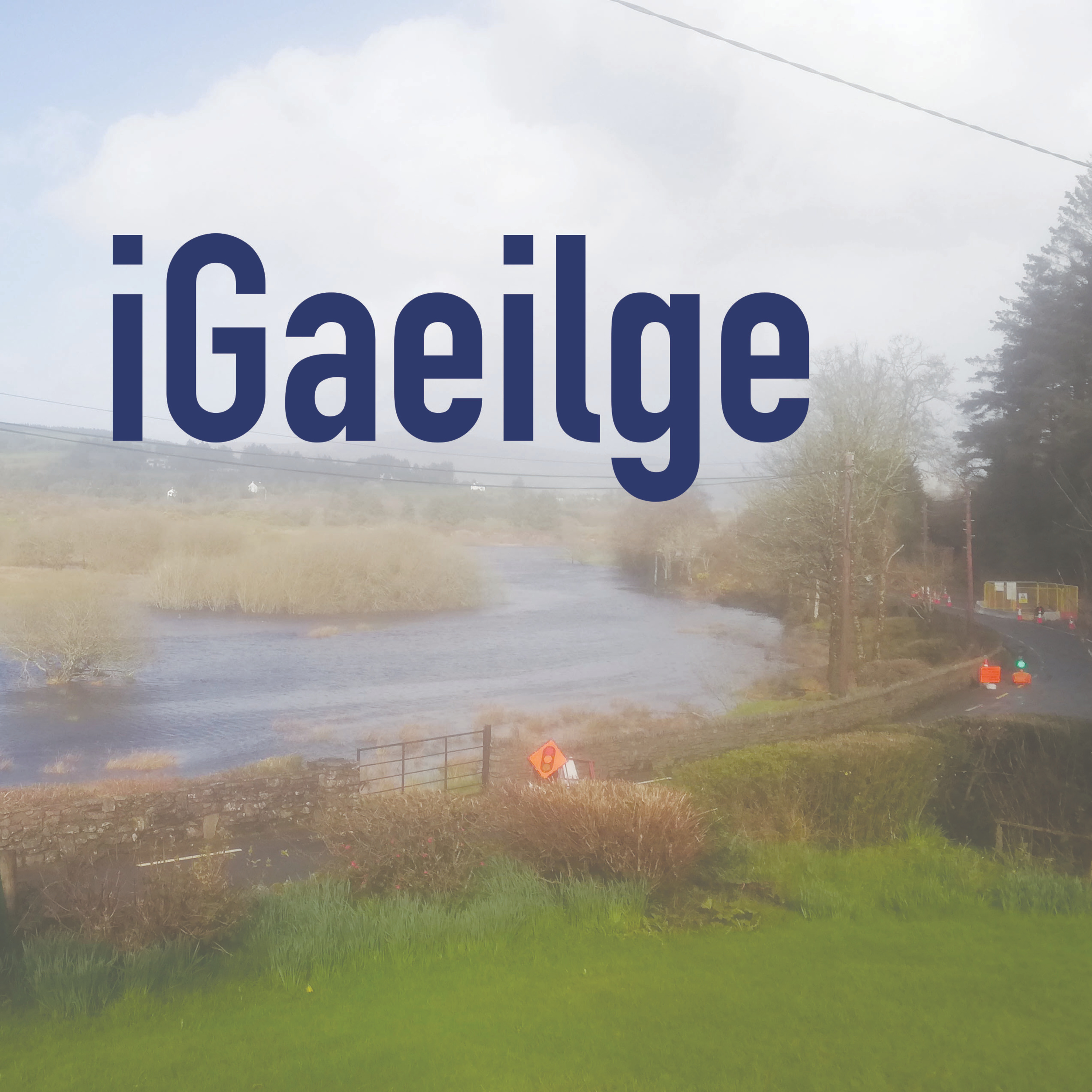 iGaeilge