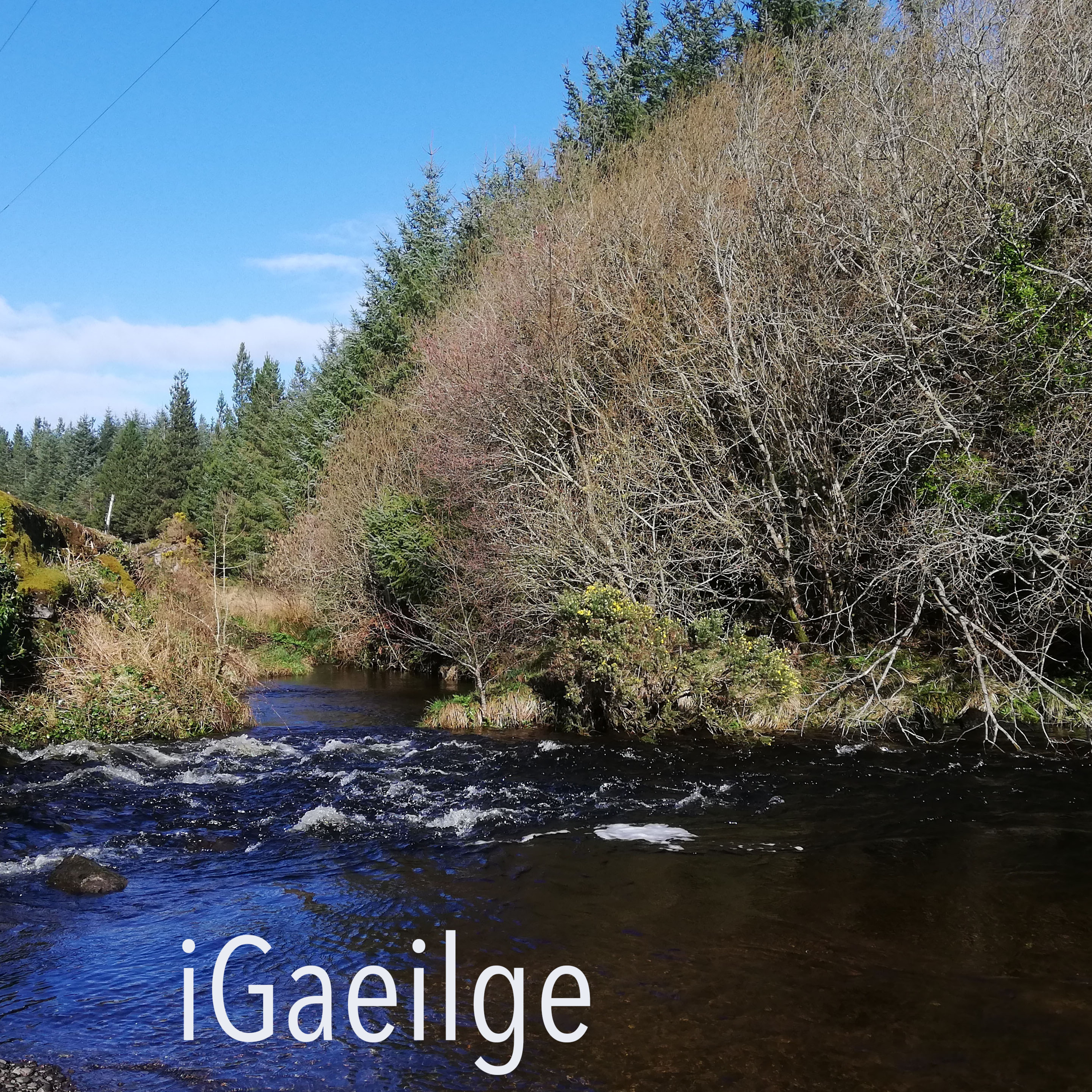 iGaeilge