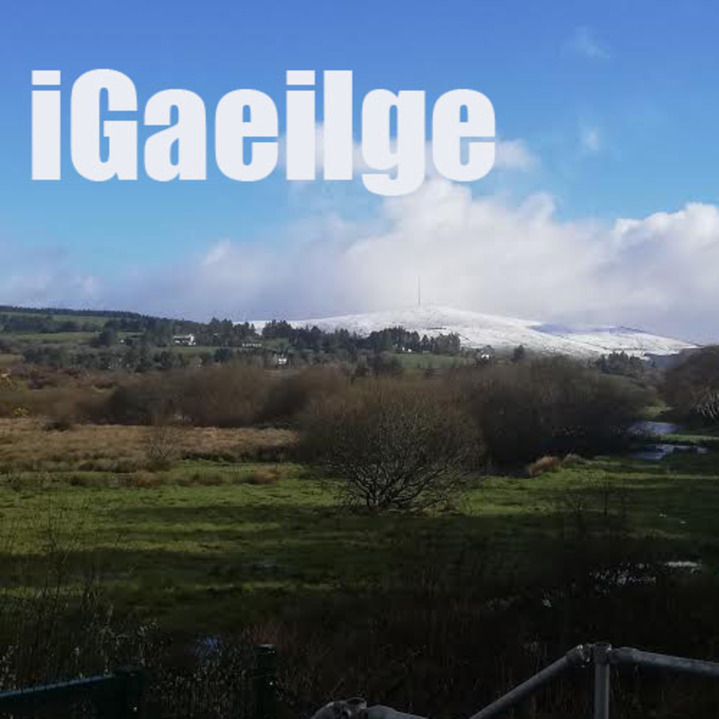 iGaeilge