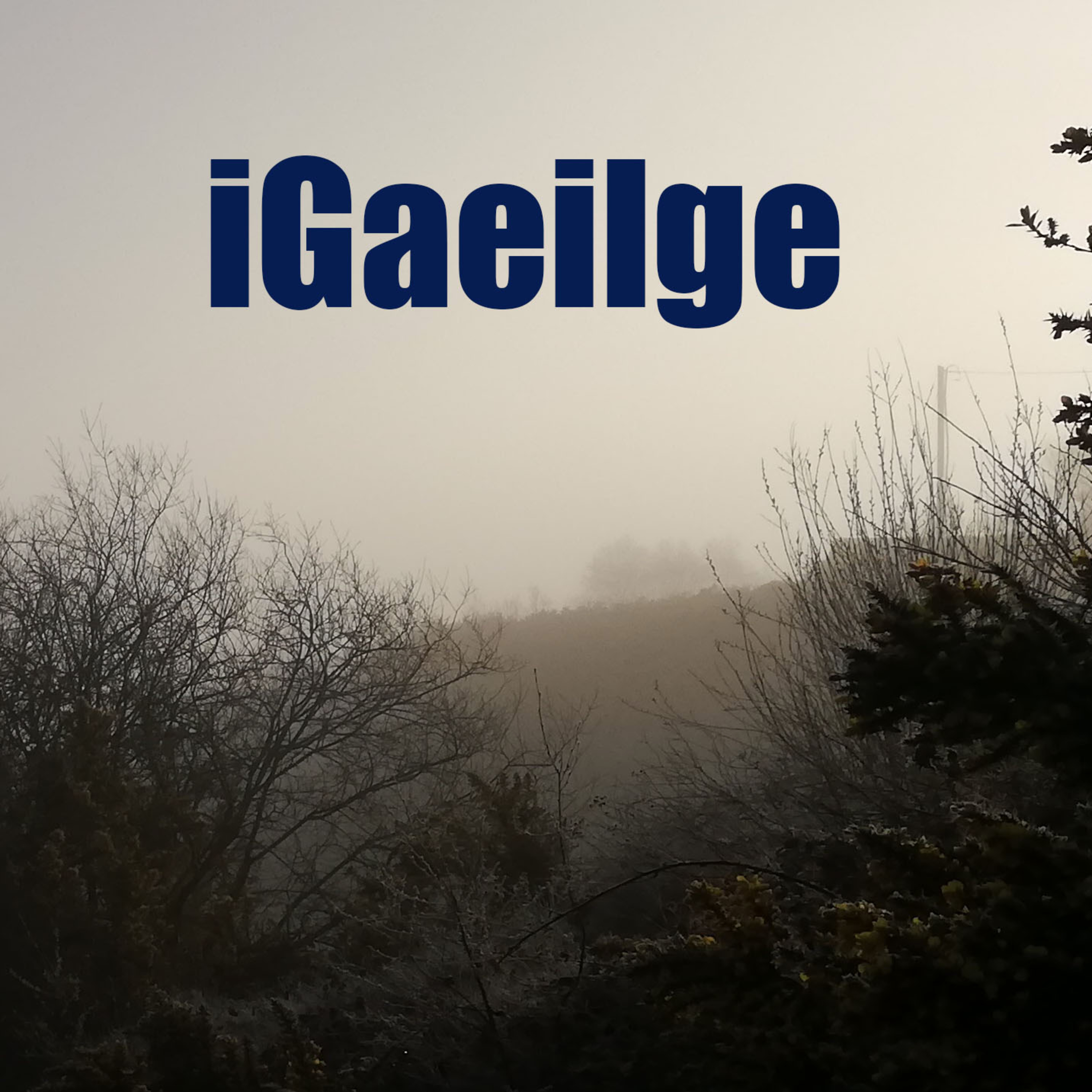 iGaeilge