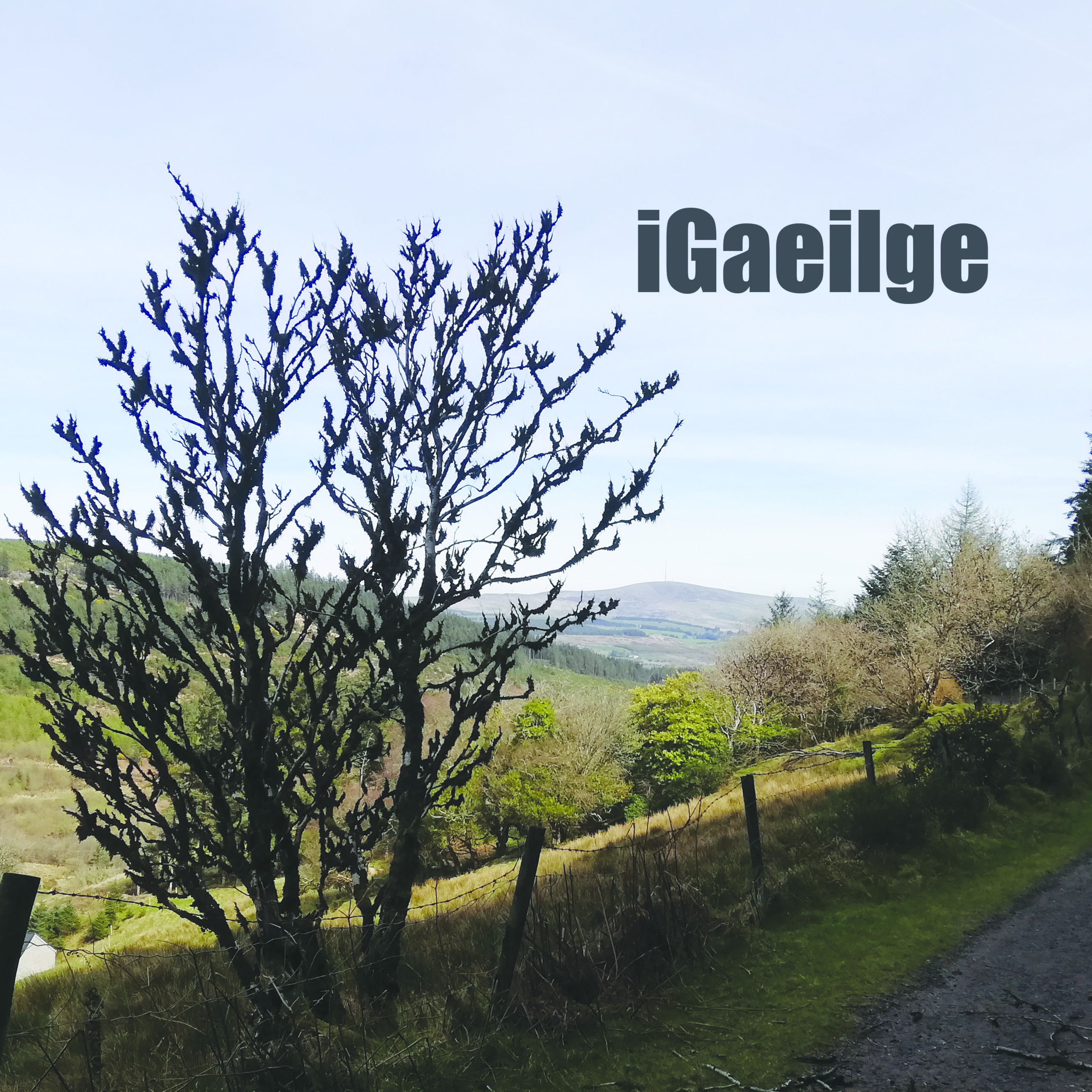 iGaeilge