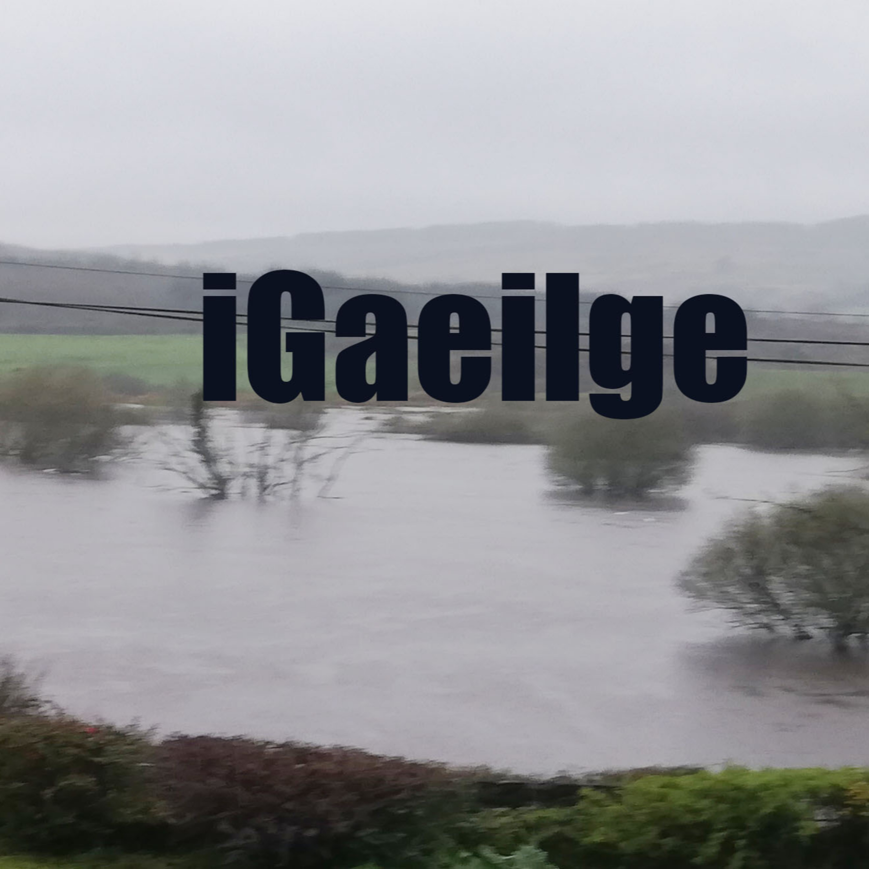 iGaeilge