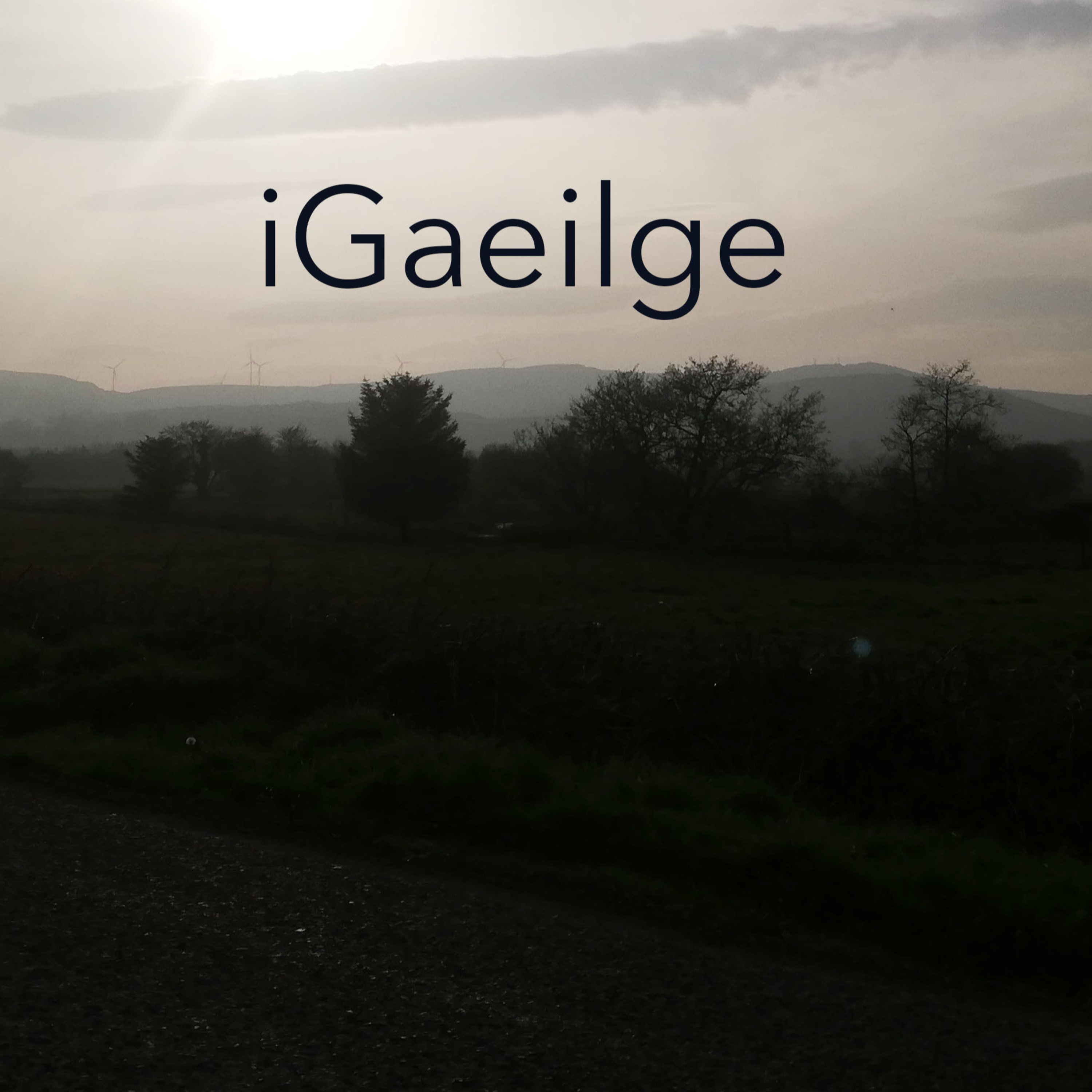 iGaeilge