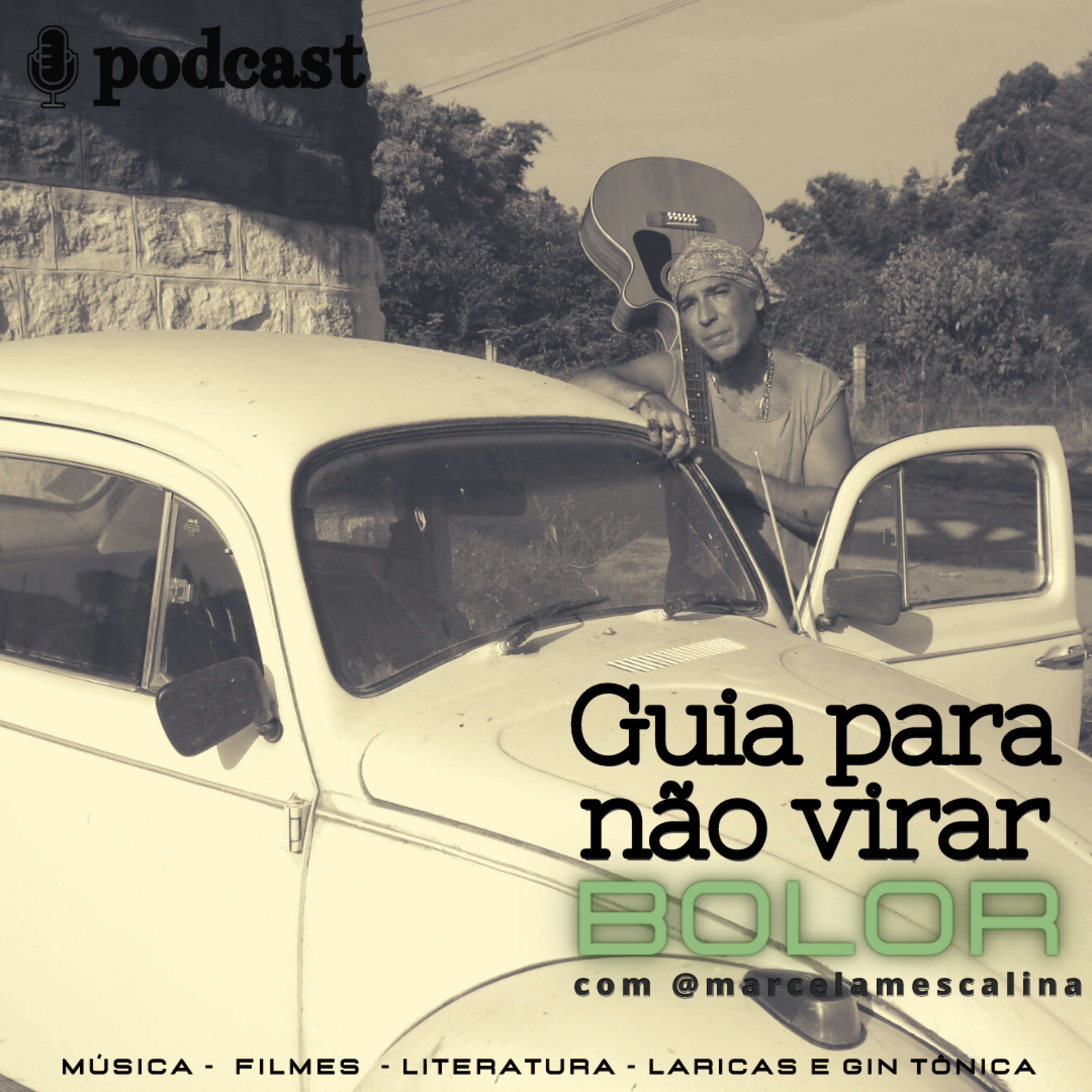 Guia Para Não Virar Bolor