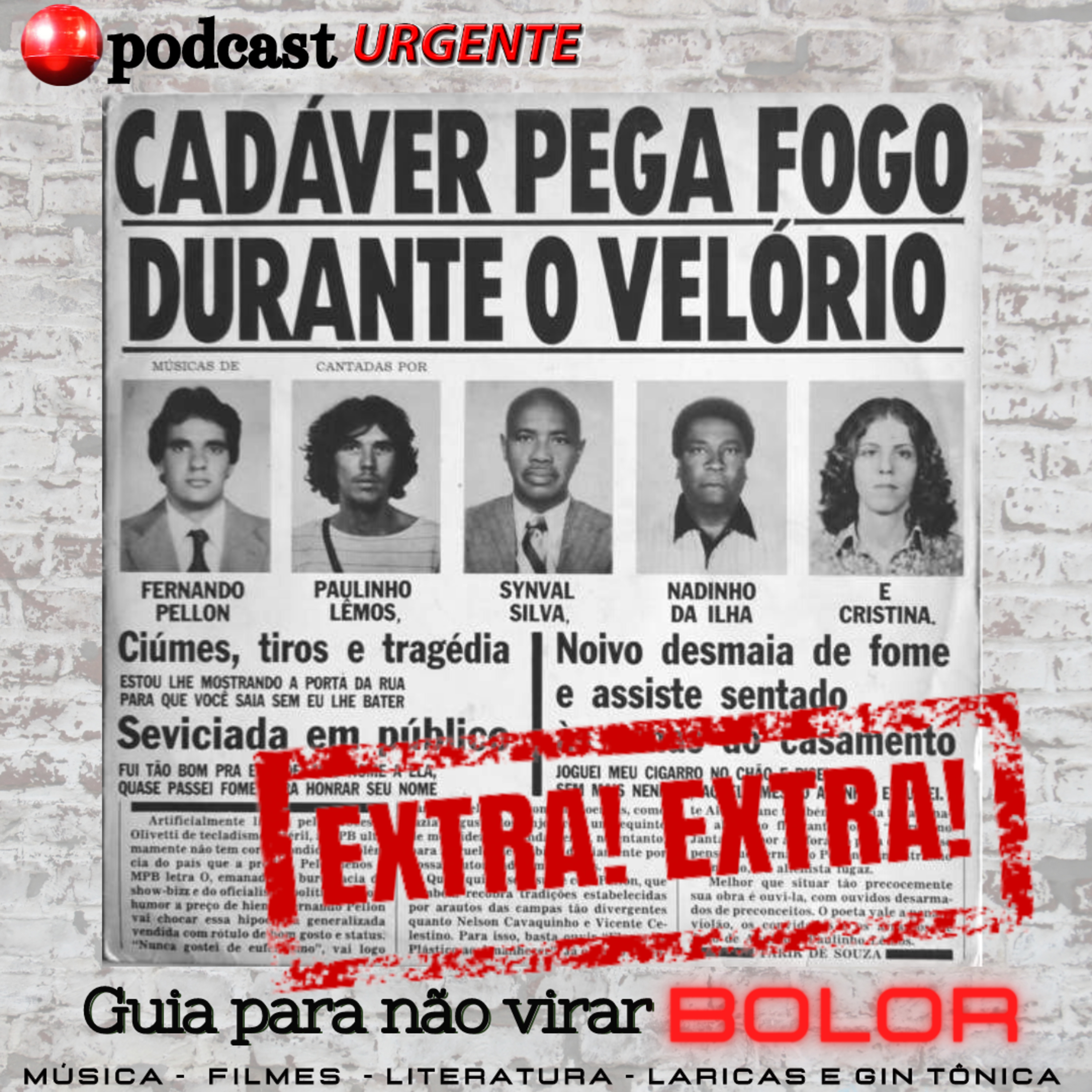 Guia Para Não Virar Bolor