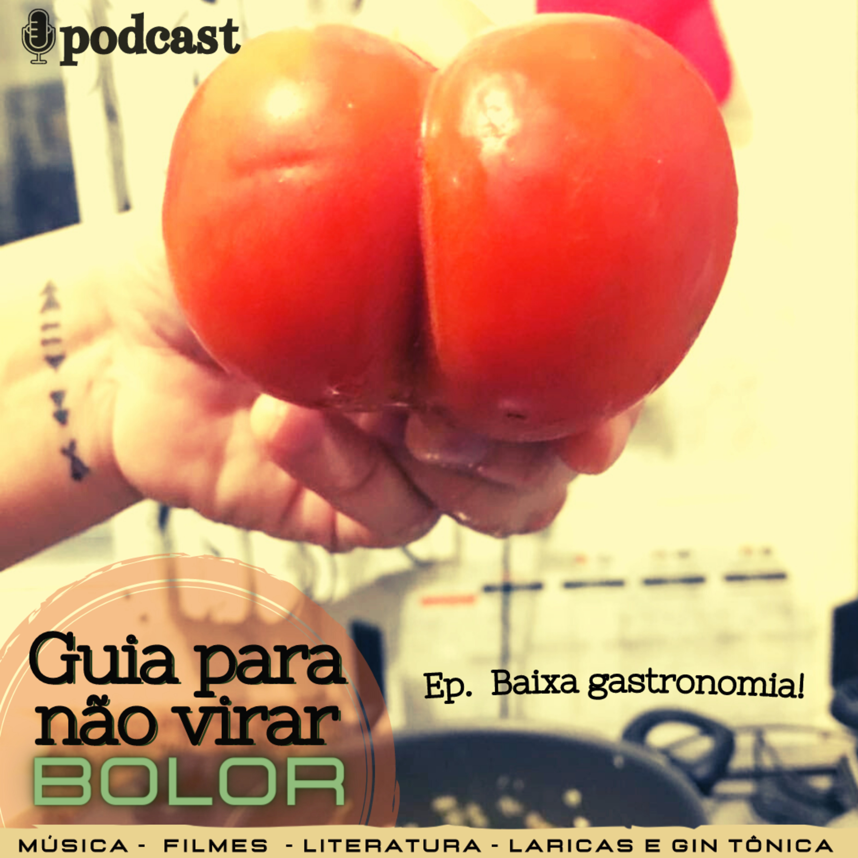 Guia Para Não Virar Bolor