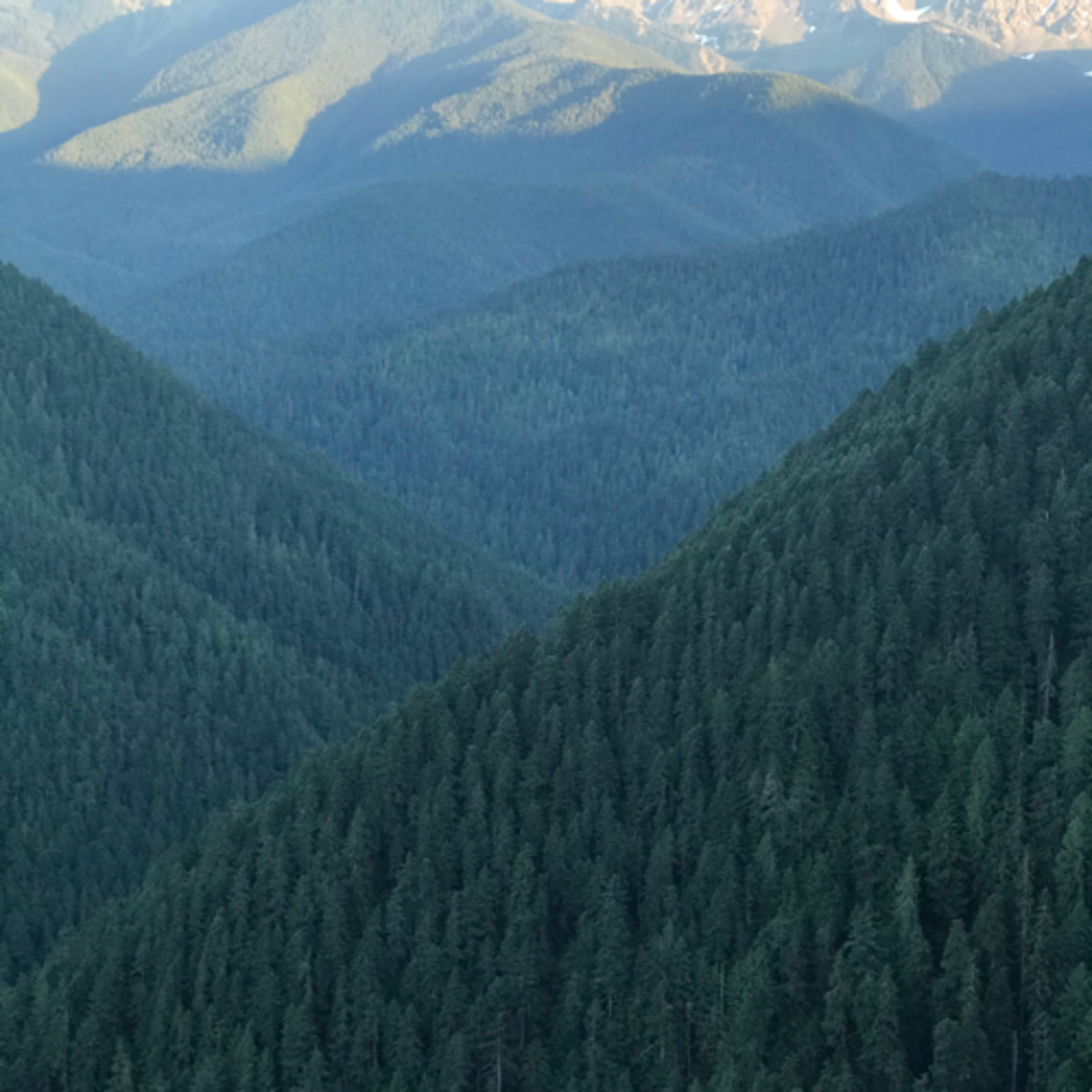 Healing Creations PNW
