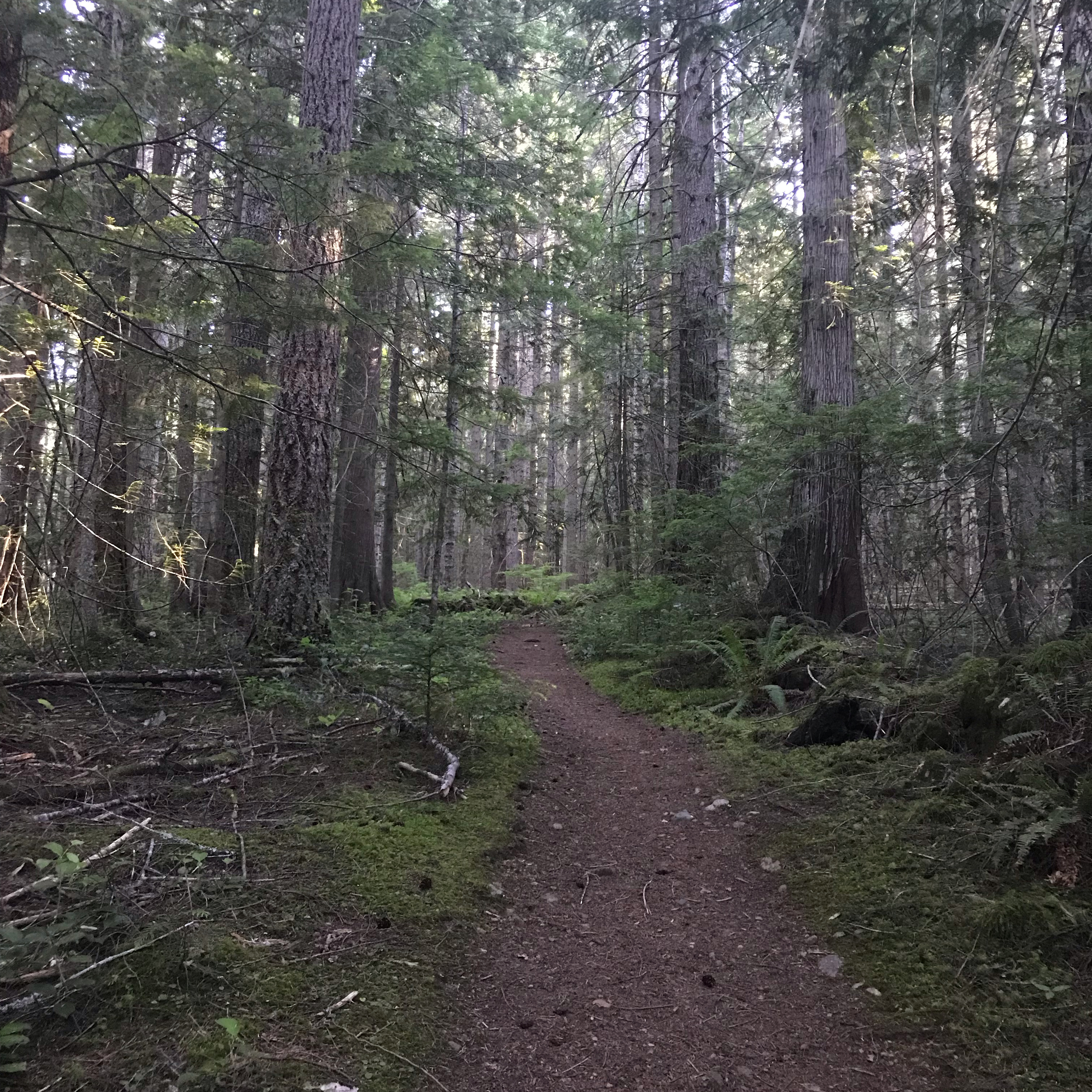 Healing Creations PNW