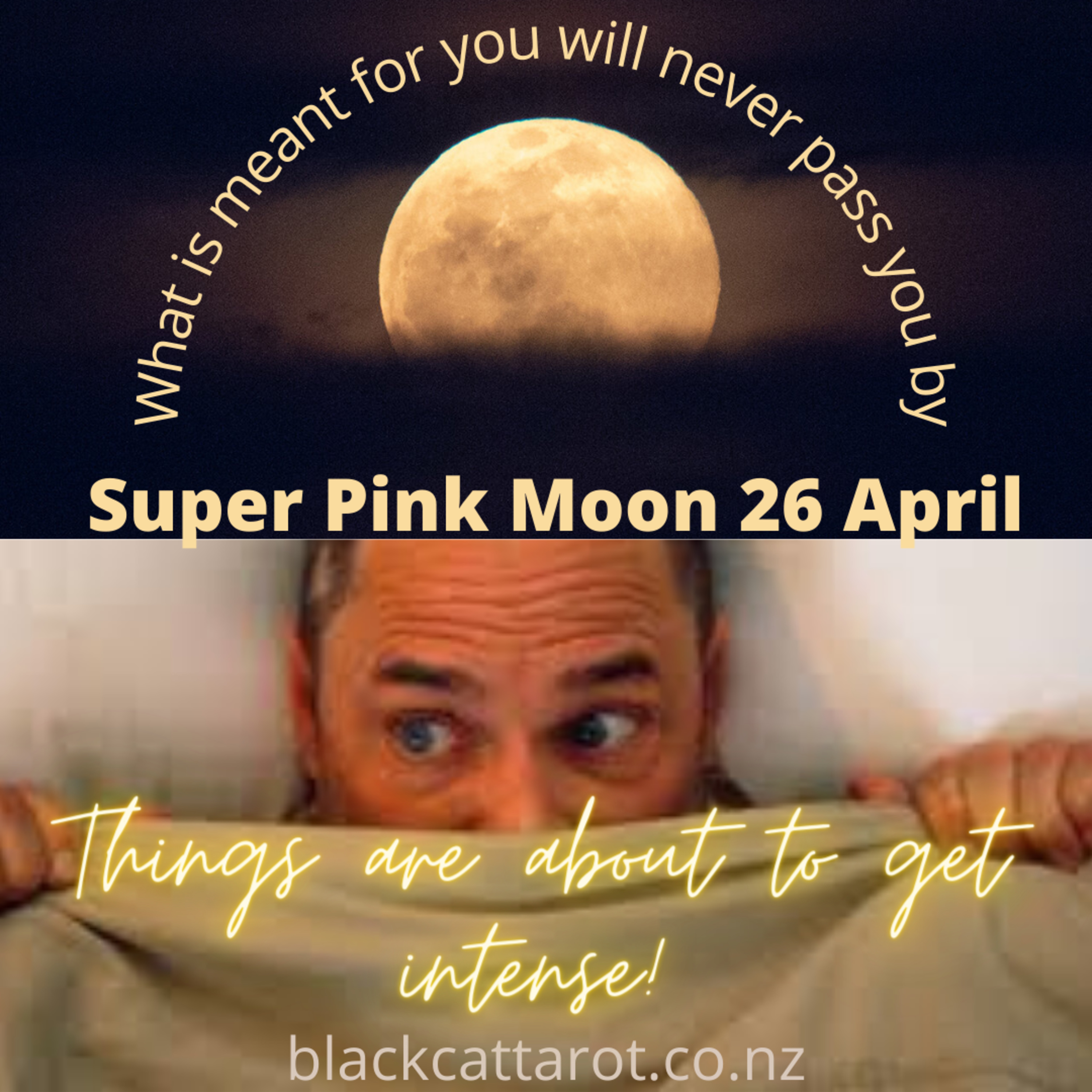 All things Metaphysical