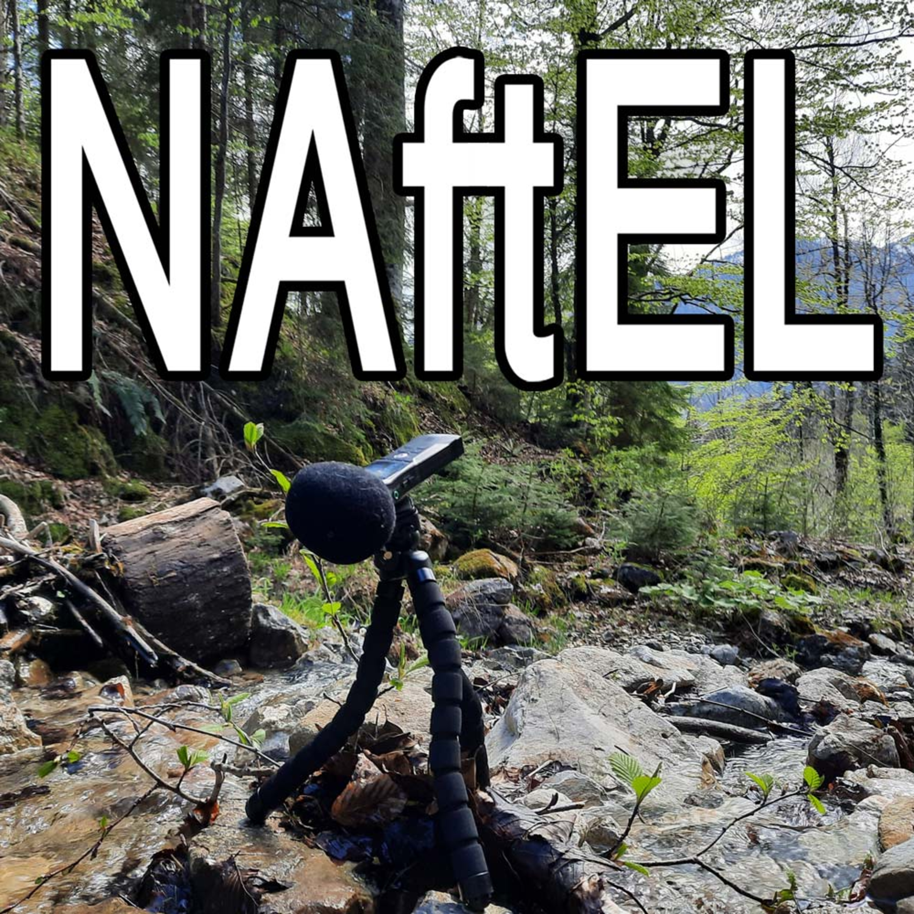 NAftEL