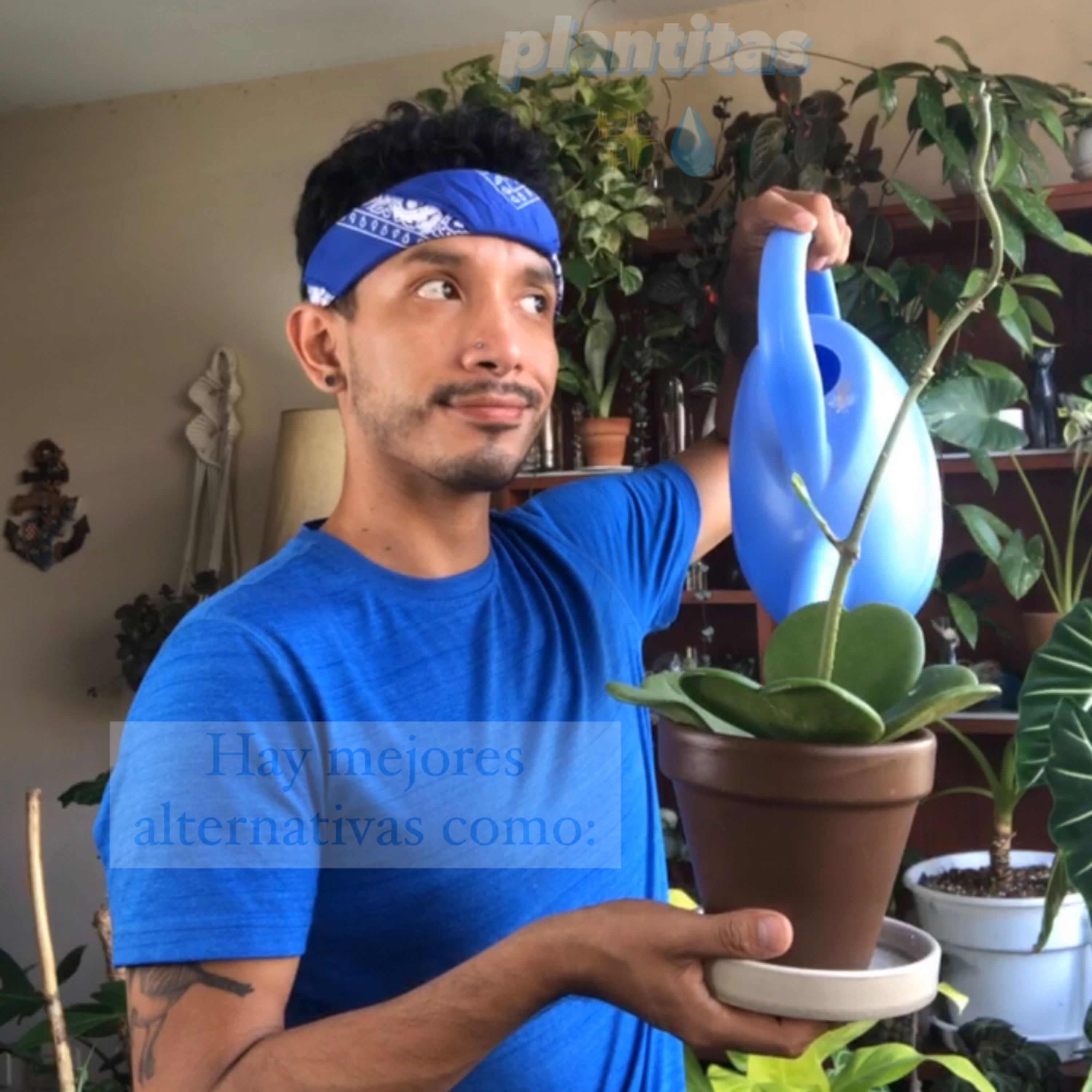 ¿Cómo sé en qué momento regar a mi planta?🪴💧