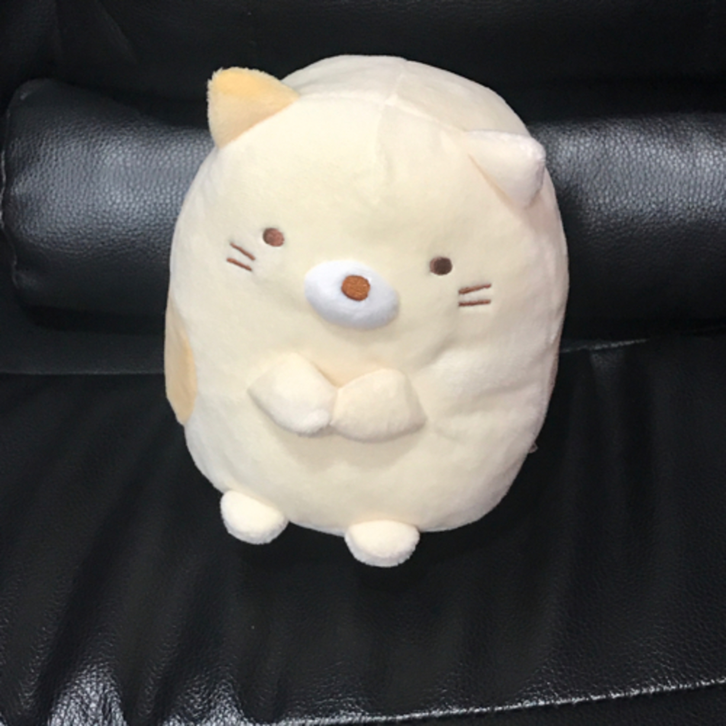 cover of episode I am addicted to Neko from somiko gurashi