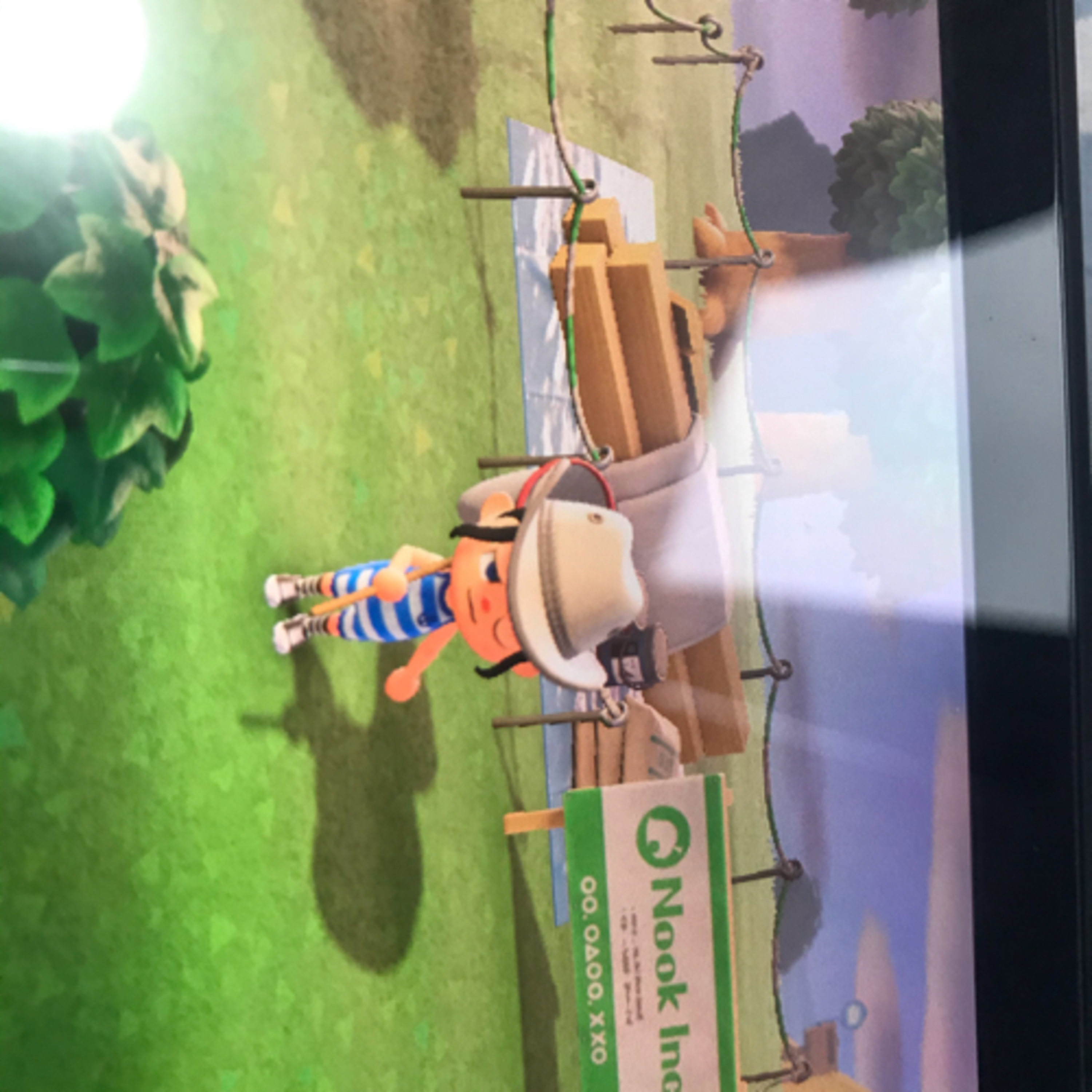 ANCH(I ALMOST GOT NOOKS GRANNY AND MUSEUM)  episode artwork