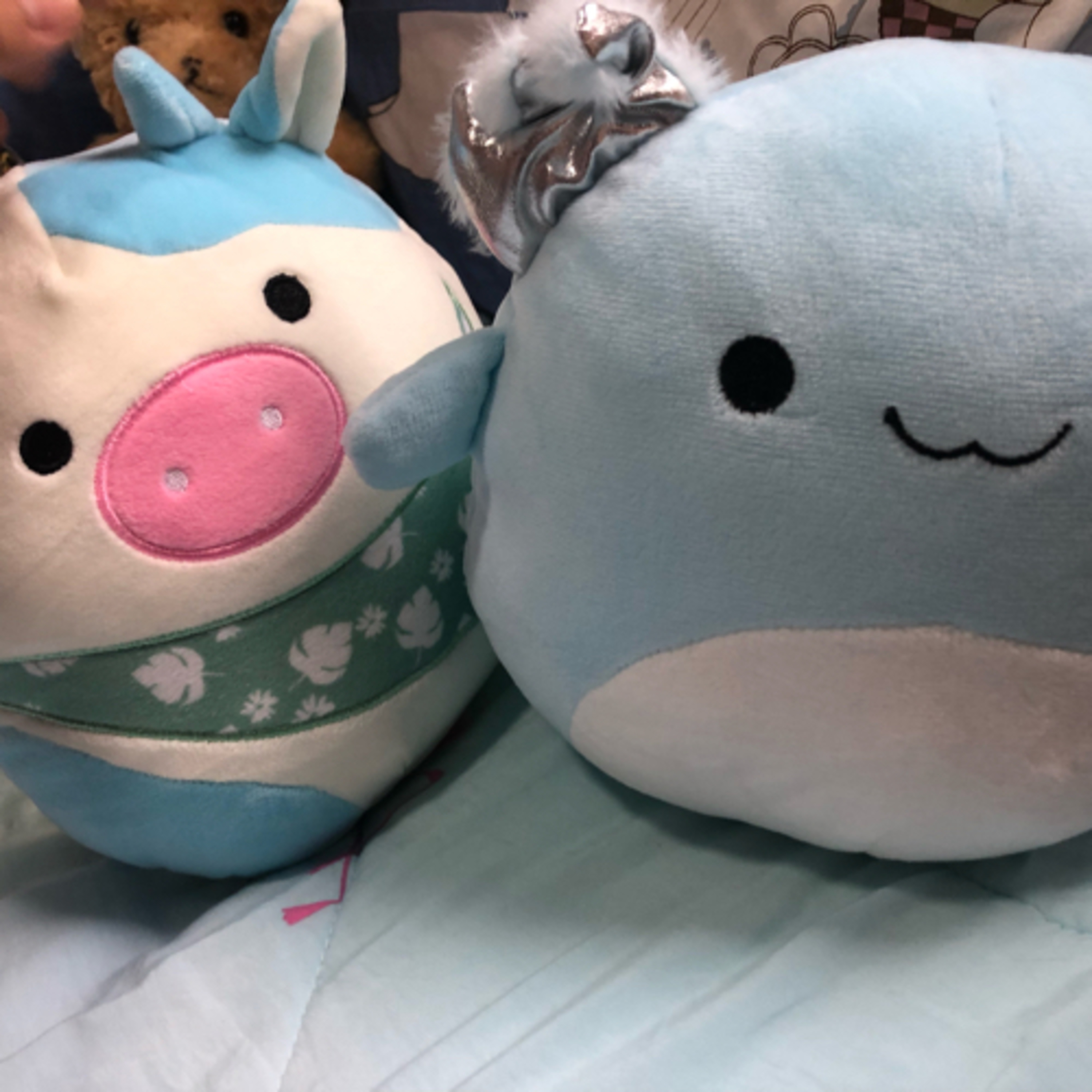 Squishmallow haul ! episode artwork