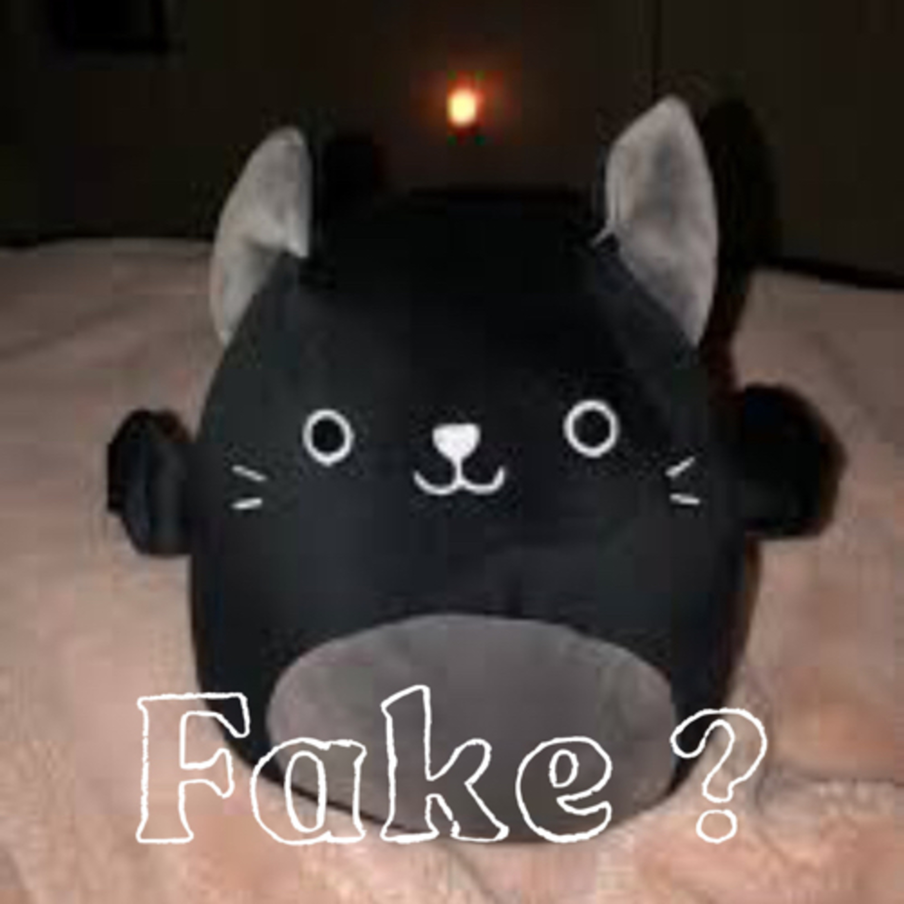 Fake squishmallows !  episode artwork