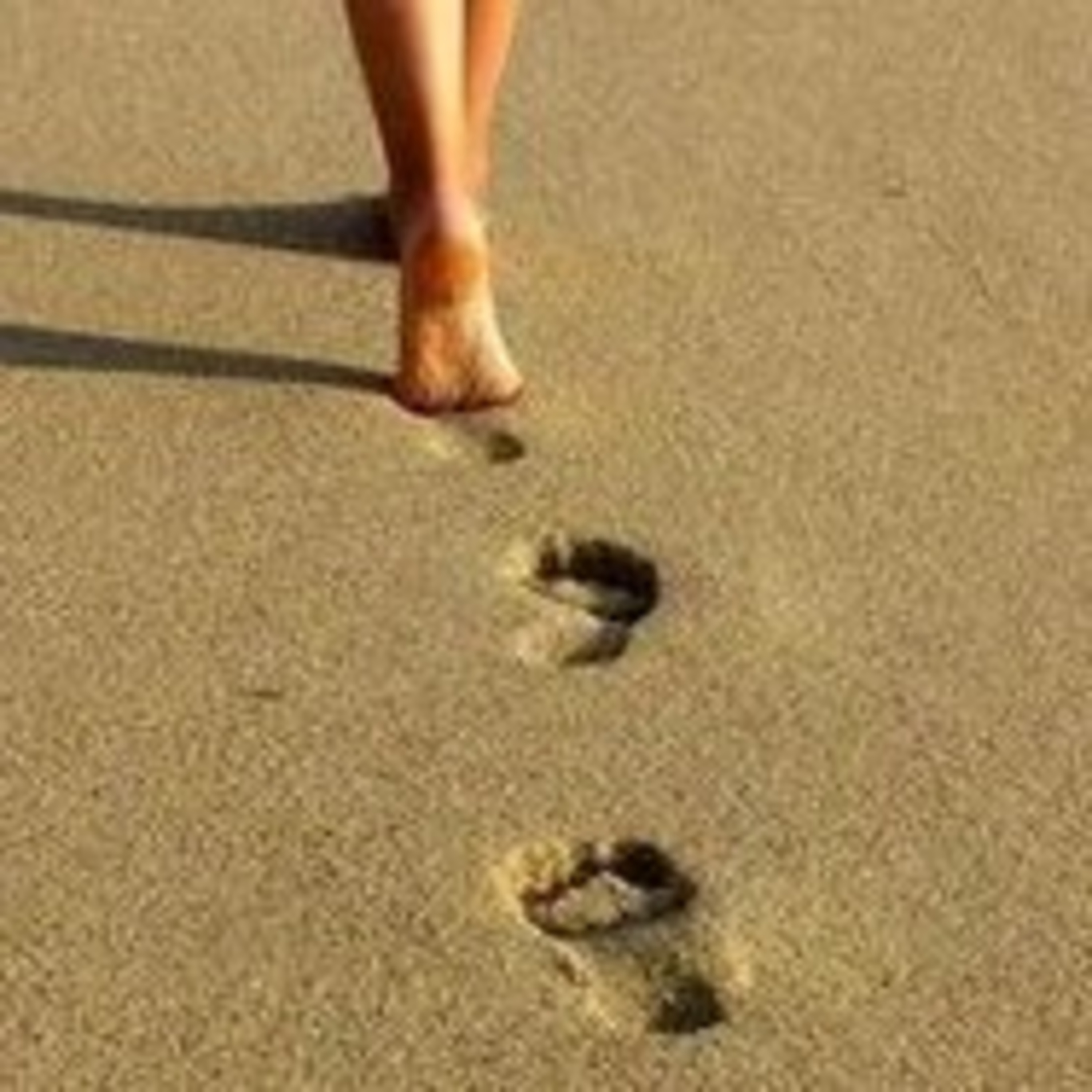 Living Your Practice