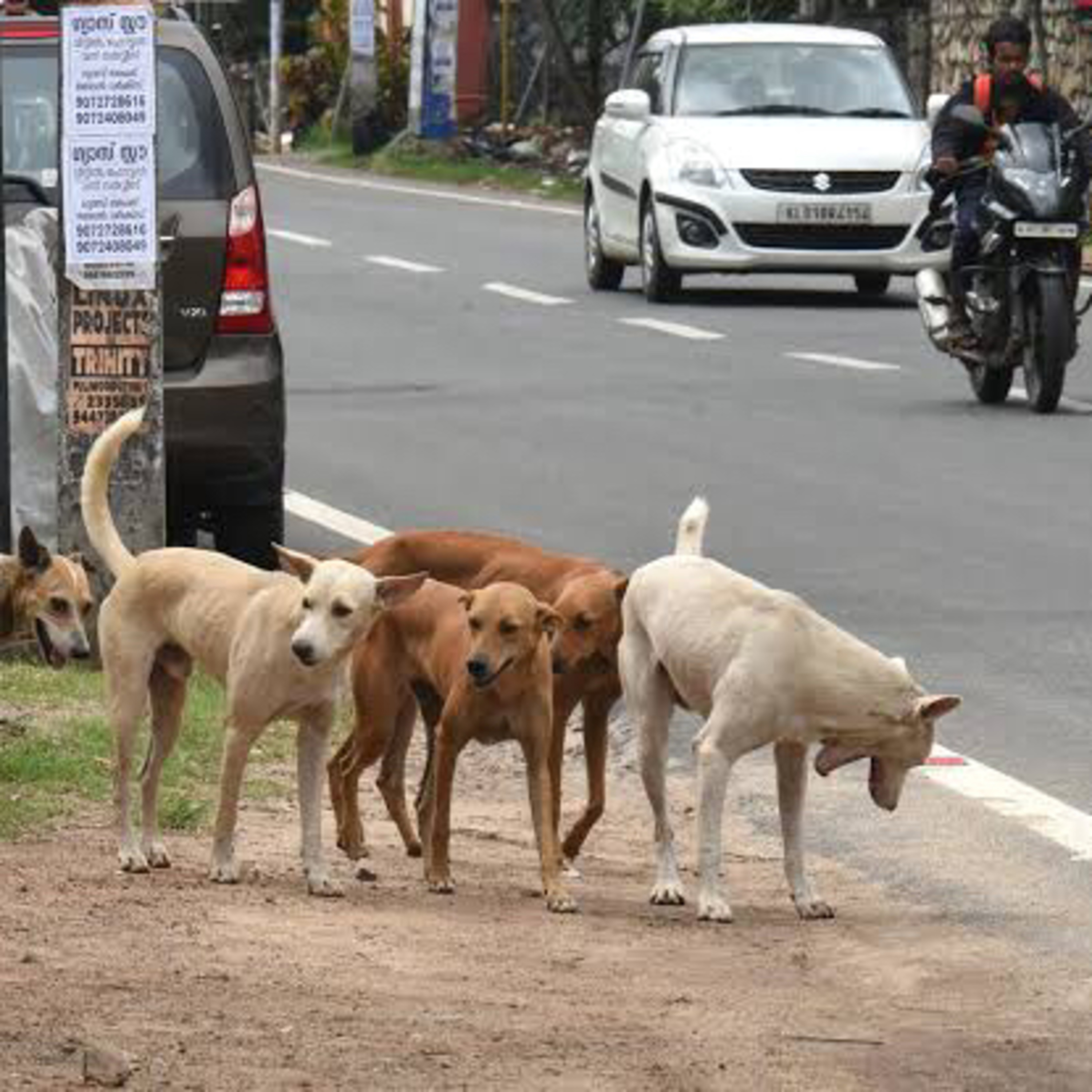 परिभाषा