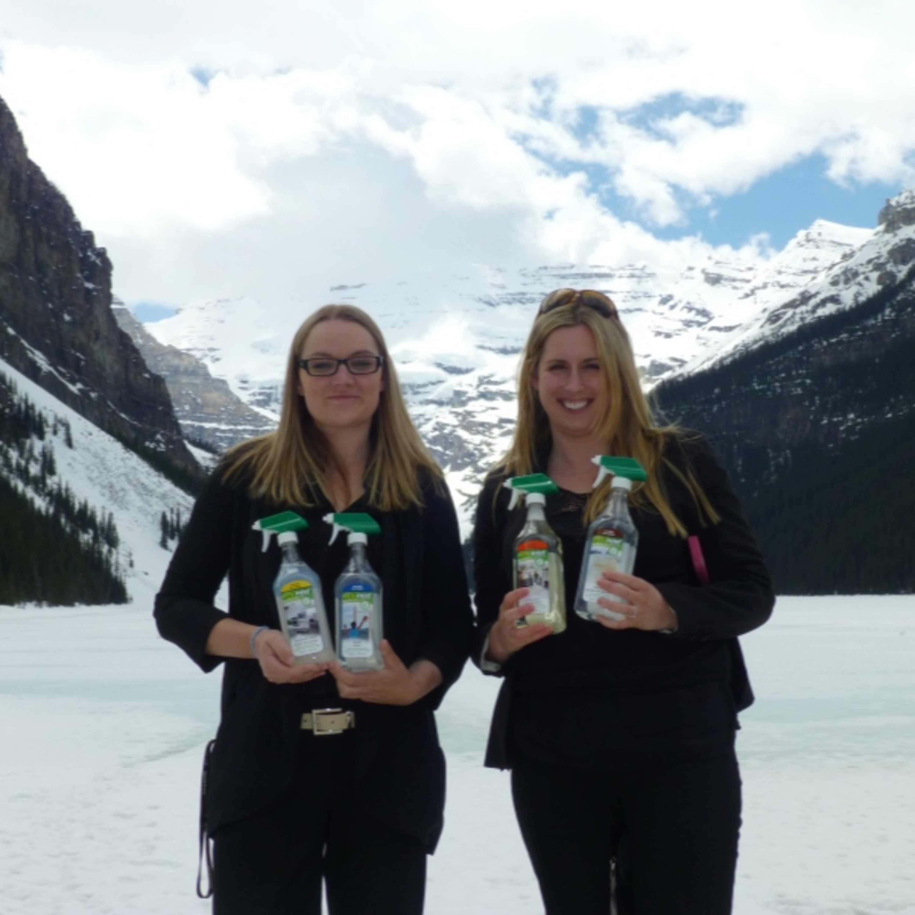 Ecomist Cleaning Services - Pemberton / Whistler