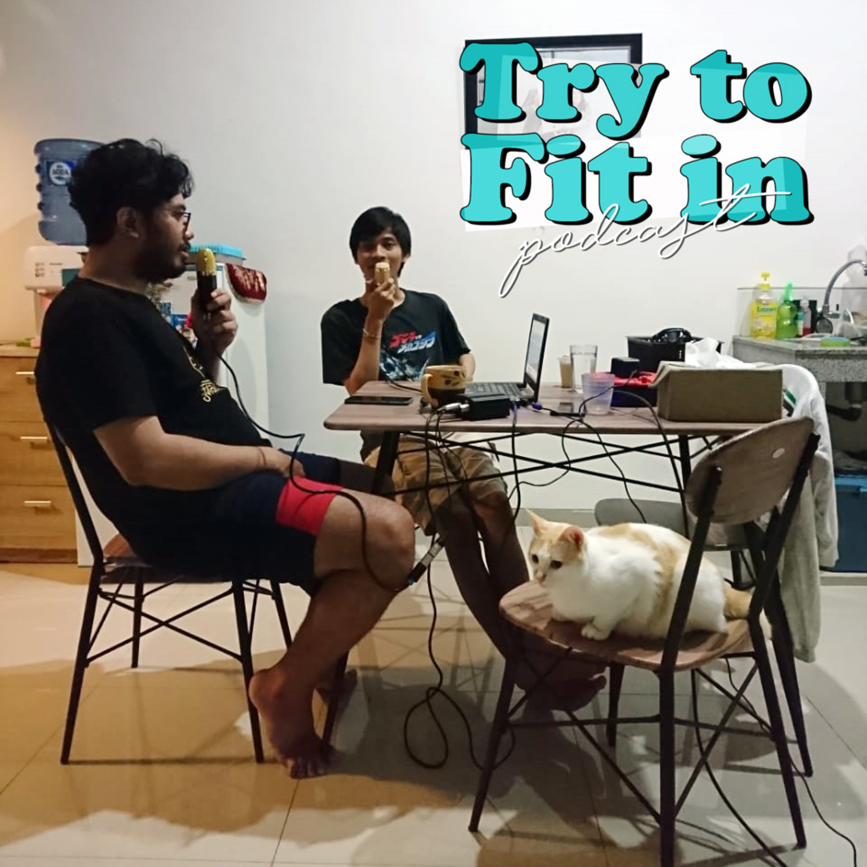 Try To Fit In Podcast