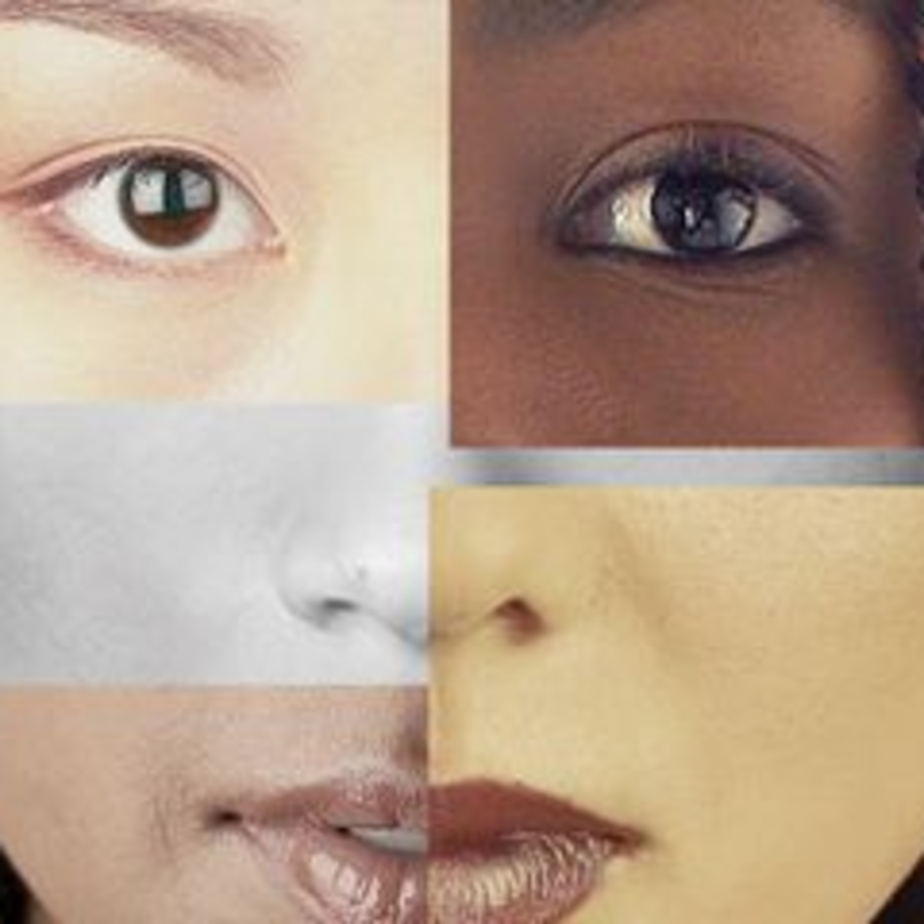 Black History ToolKit