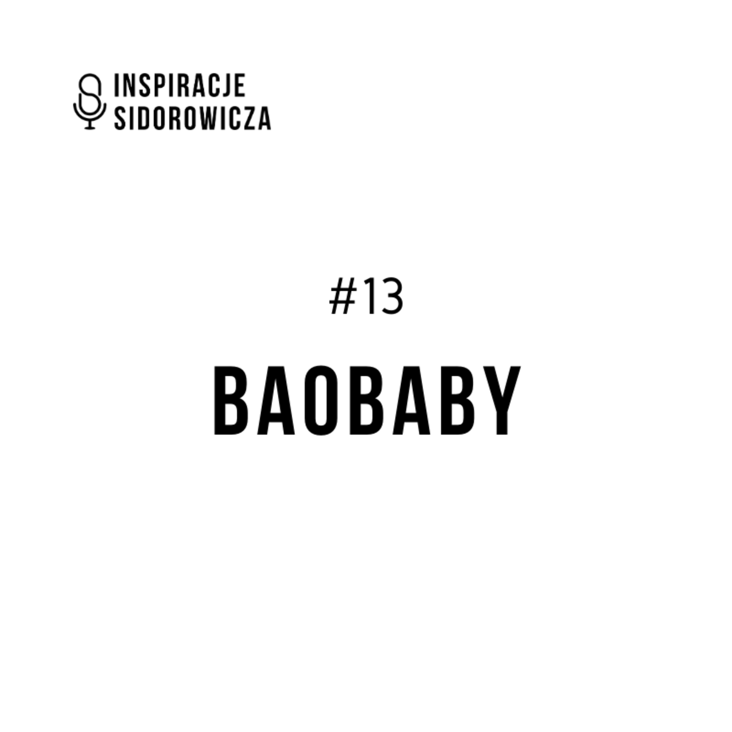 Inspiracje Sidorowicza