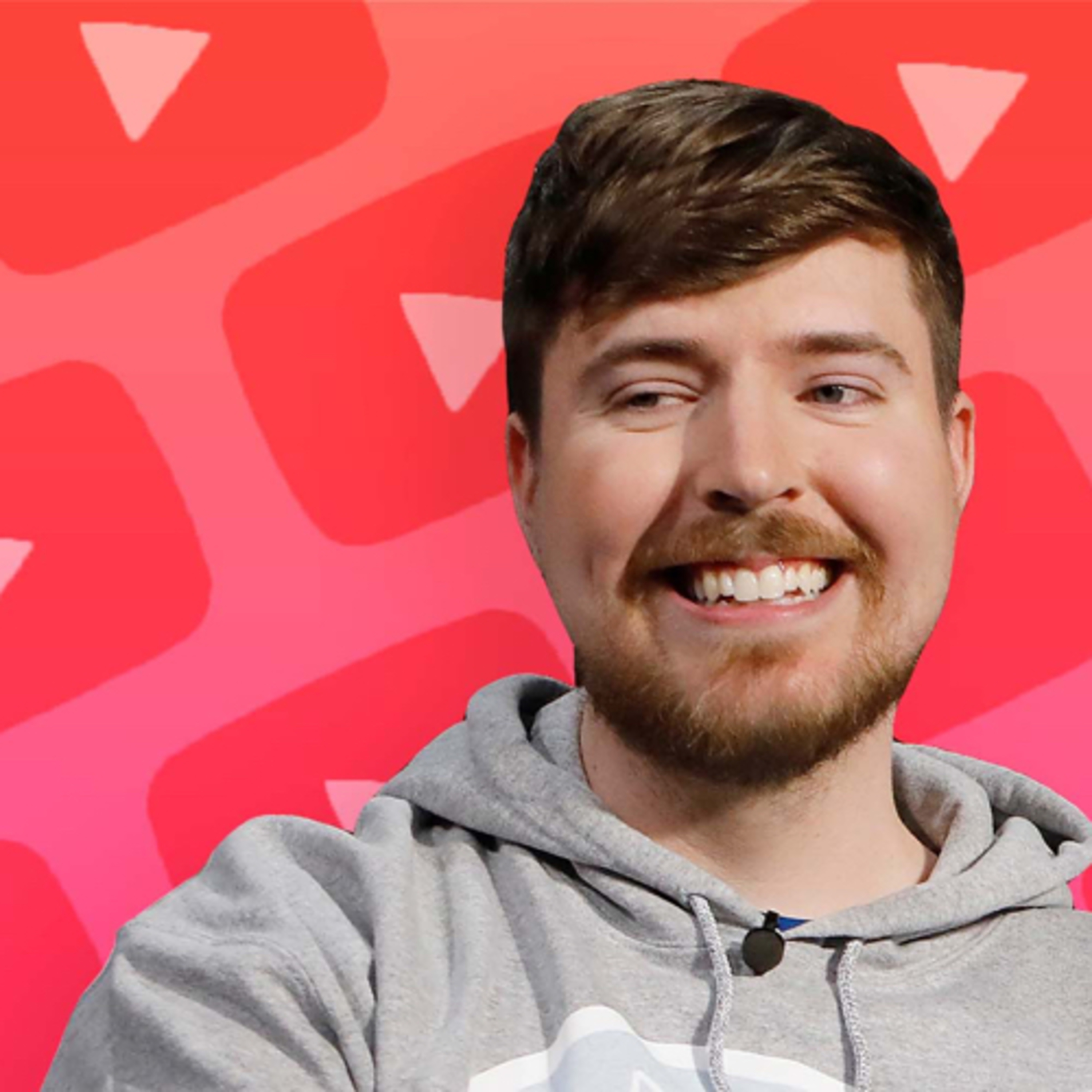 Twitter In Rage For Nothing.. (MrBeast Controversy) episode artwork