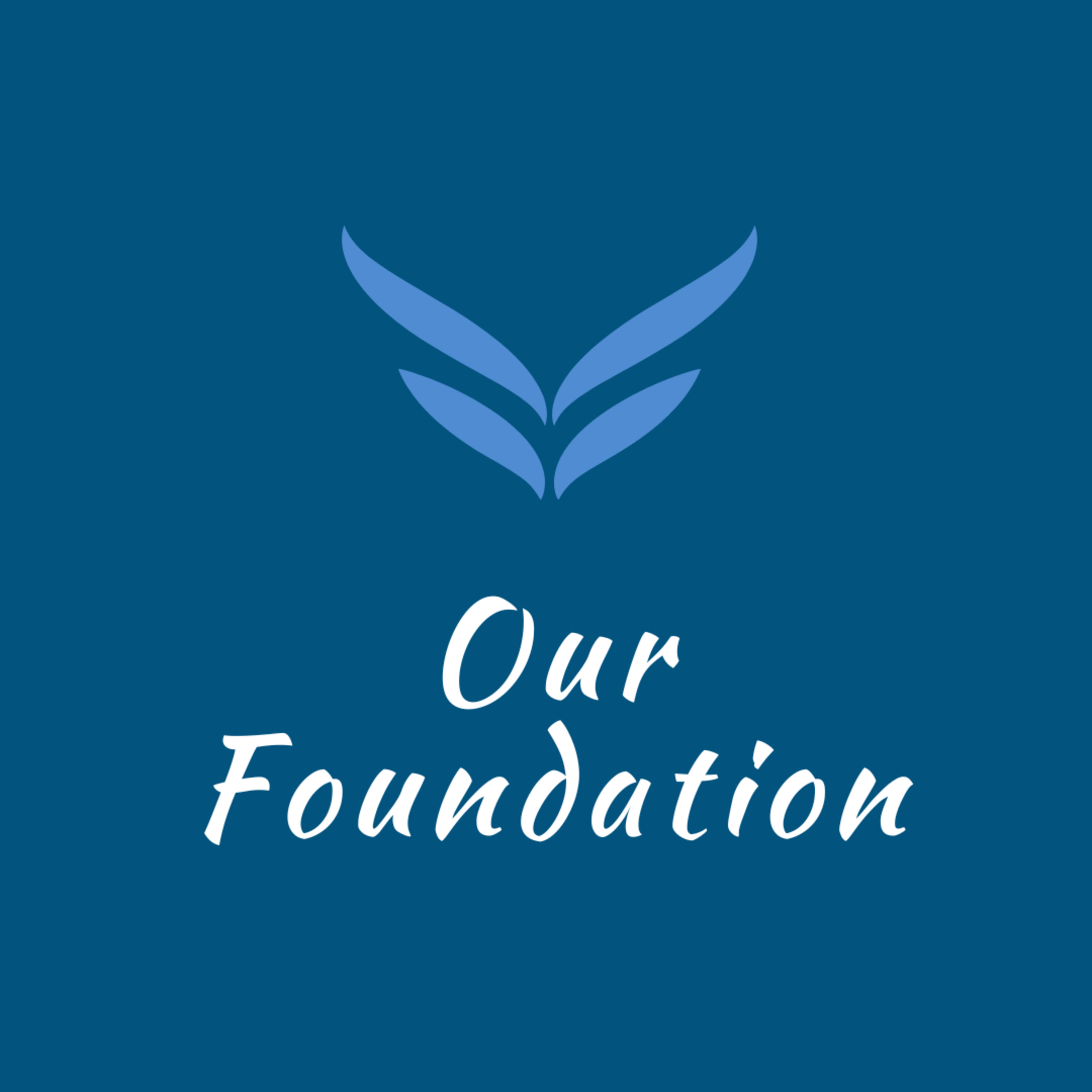 Our Foundation episode artwork