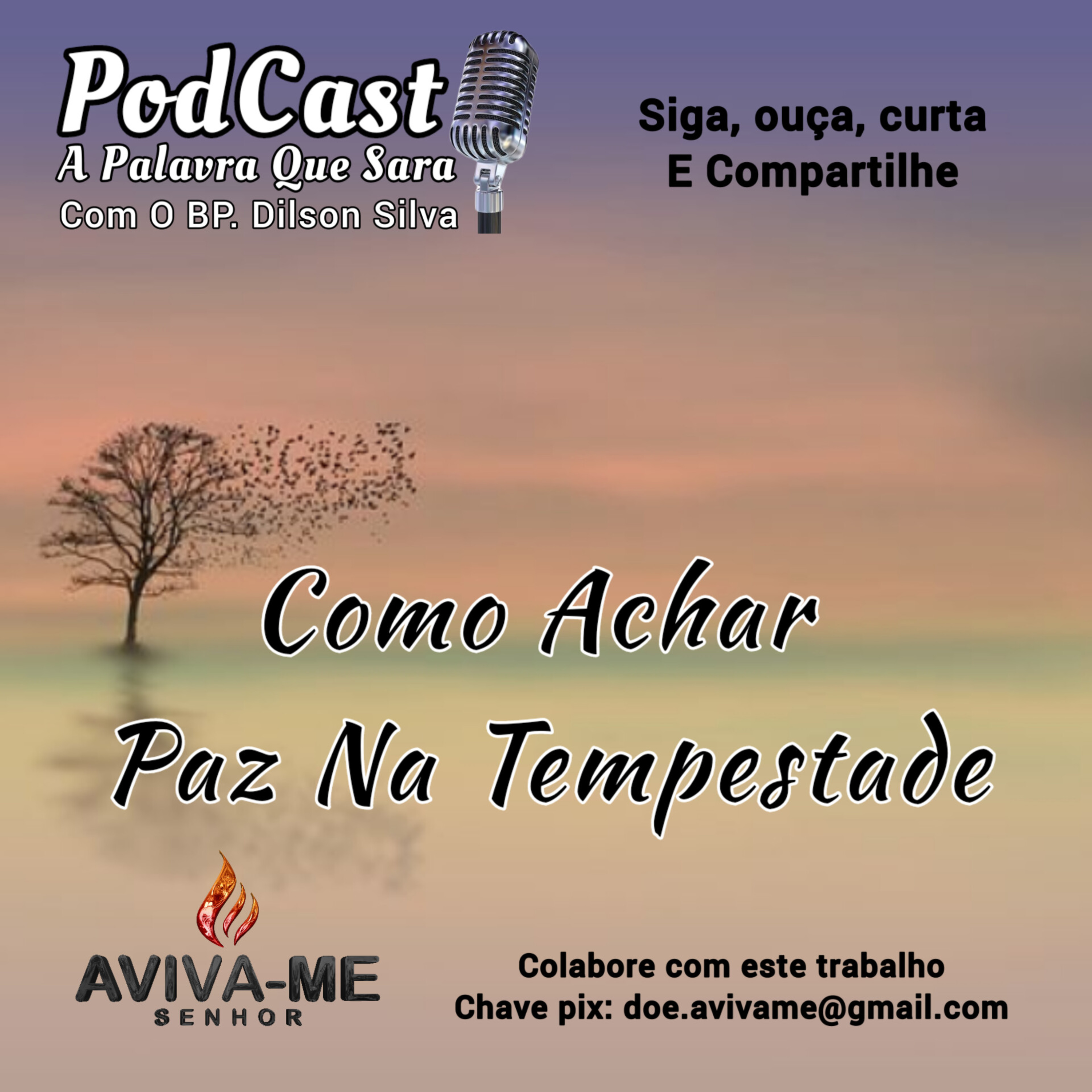 COMO ACHAR PAZ NA TEMPESTADE episode artwork