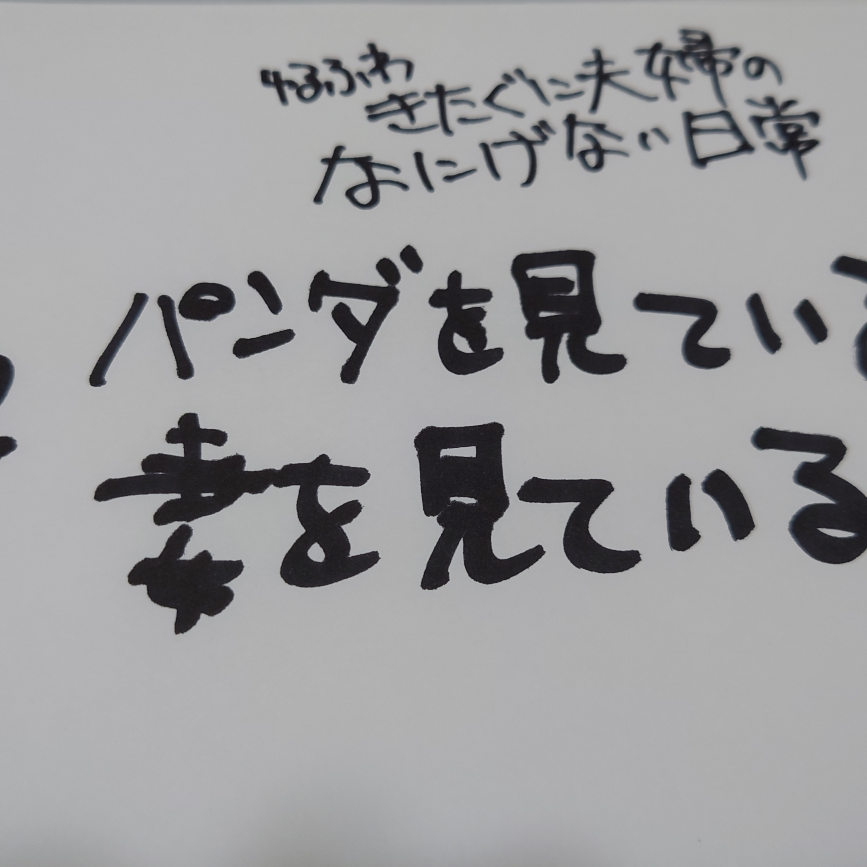 #162　パンダを見ている妻をみている episode artwork