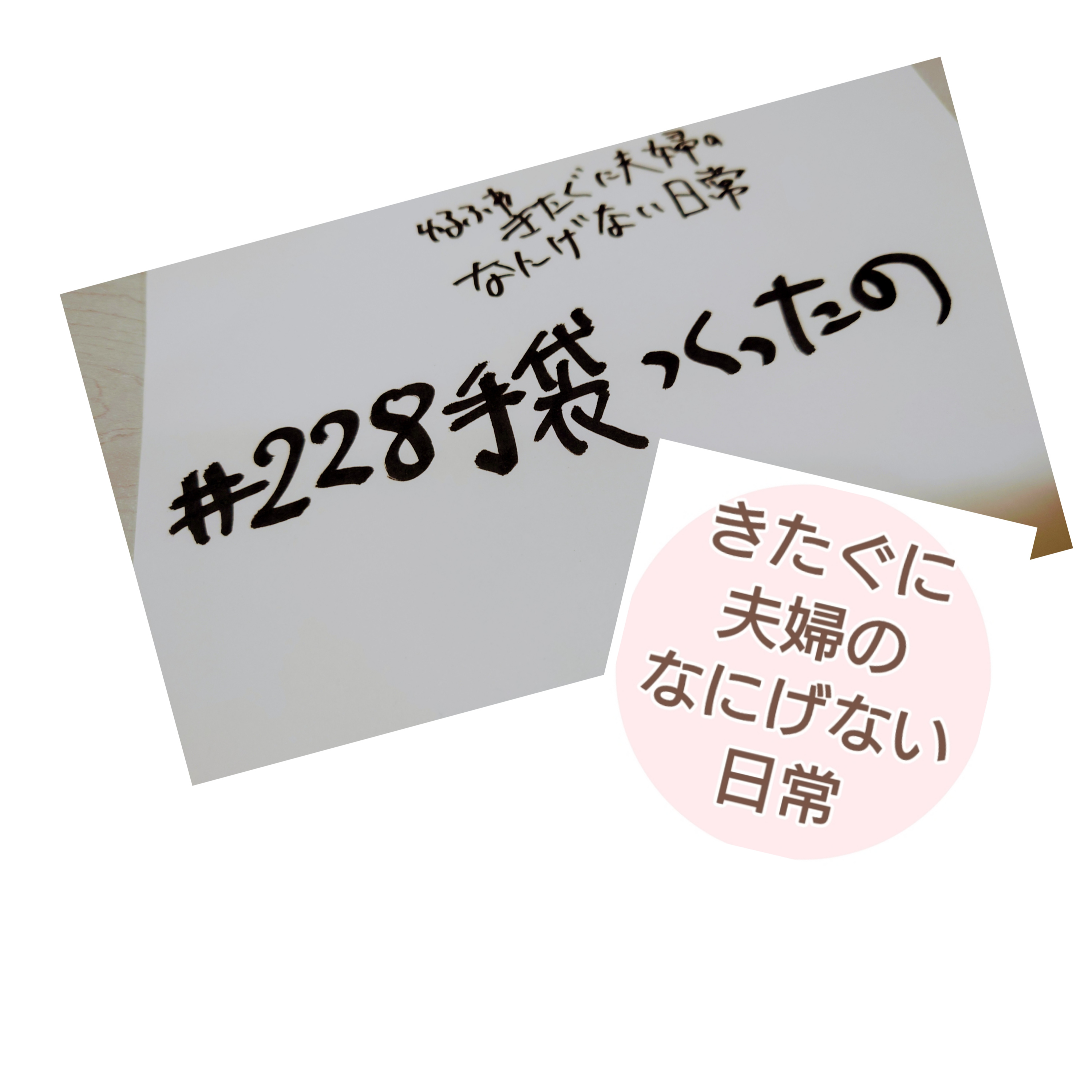 #228 手袋つくったの episode artwork