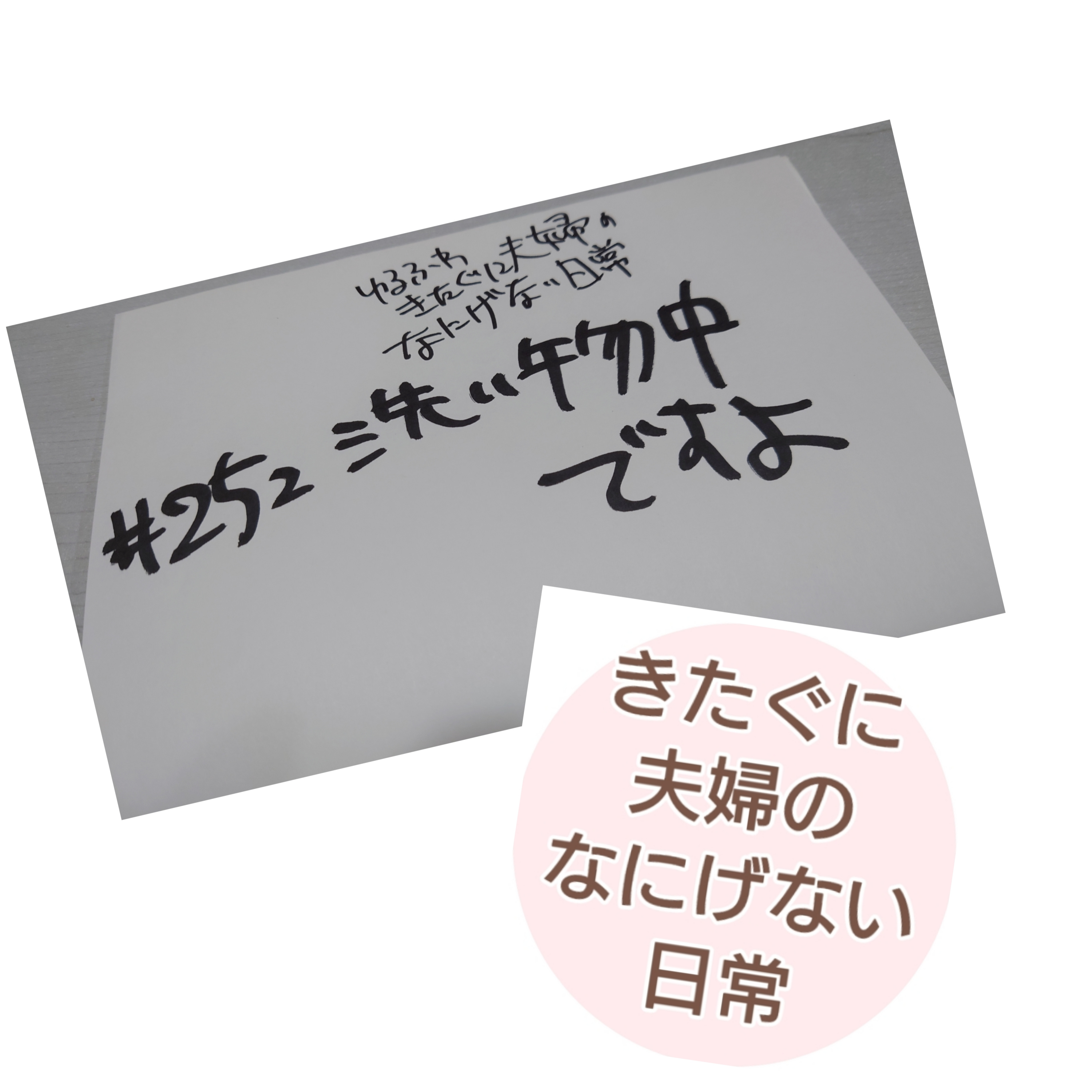 #252 洗い物中ですよ episode artwork