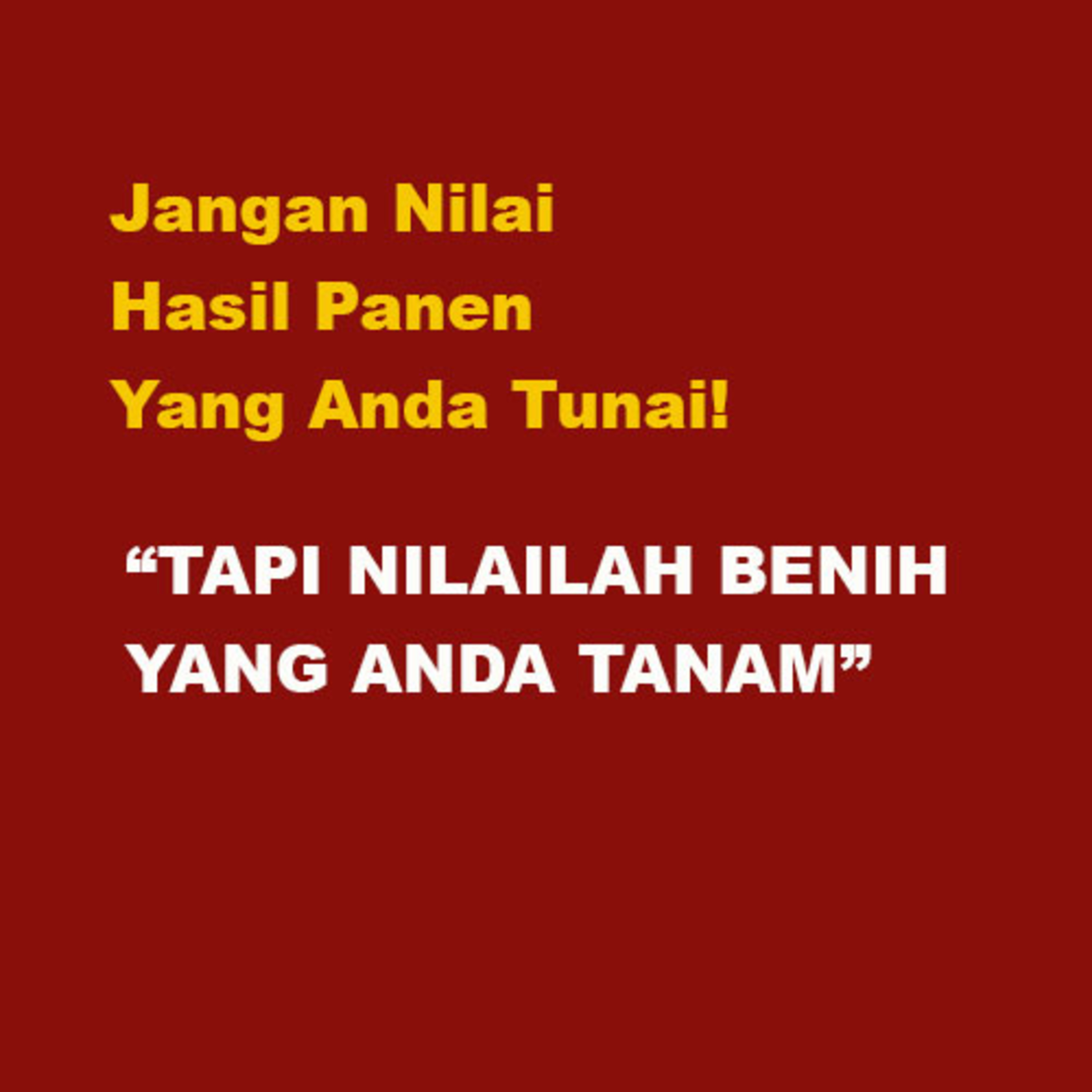 Alim Mahdi | Dan Tanpa Tapi