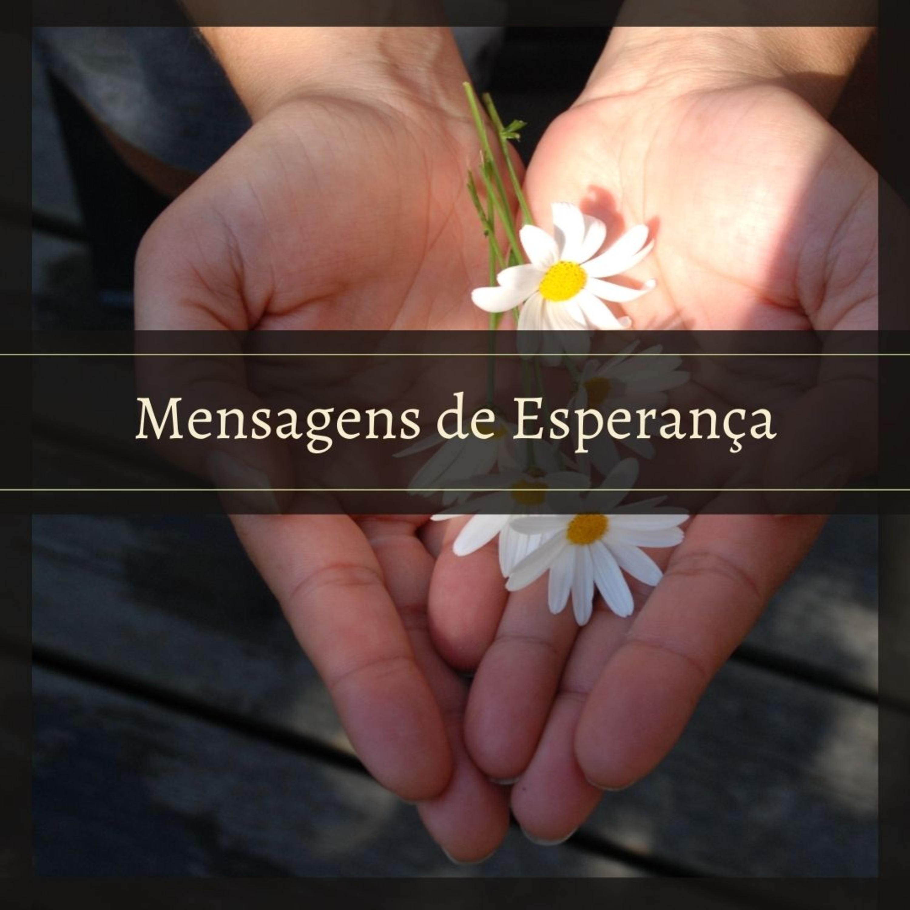 Núcleo Assistencial Ramatís
