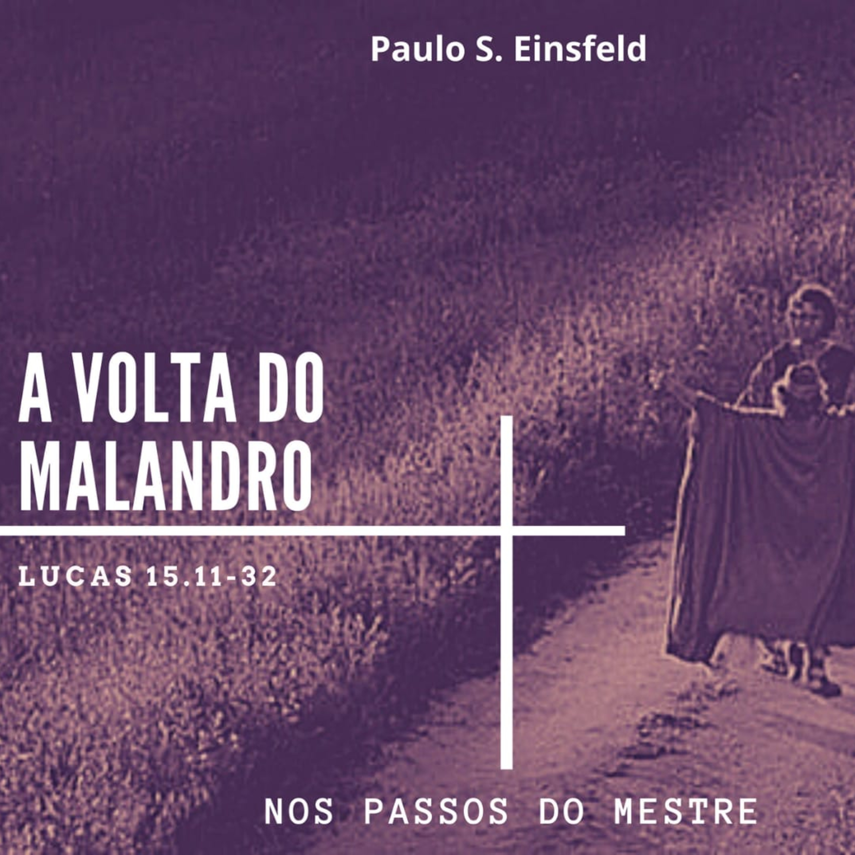 A volta do malandro episode artwork