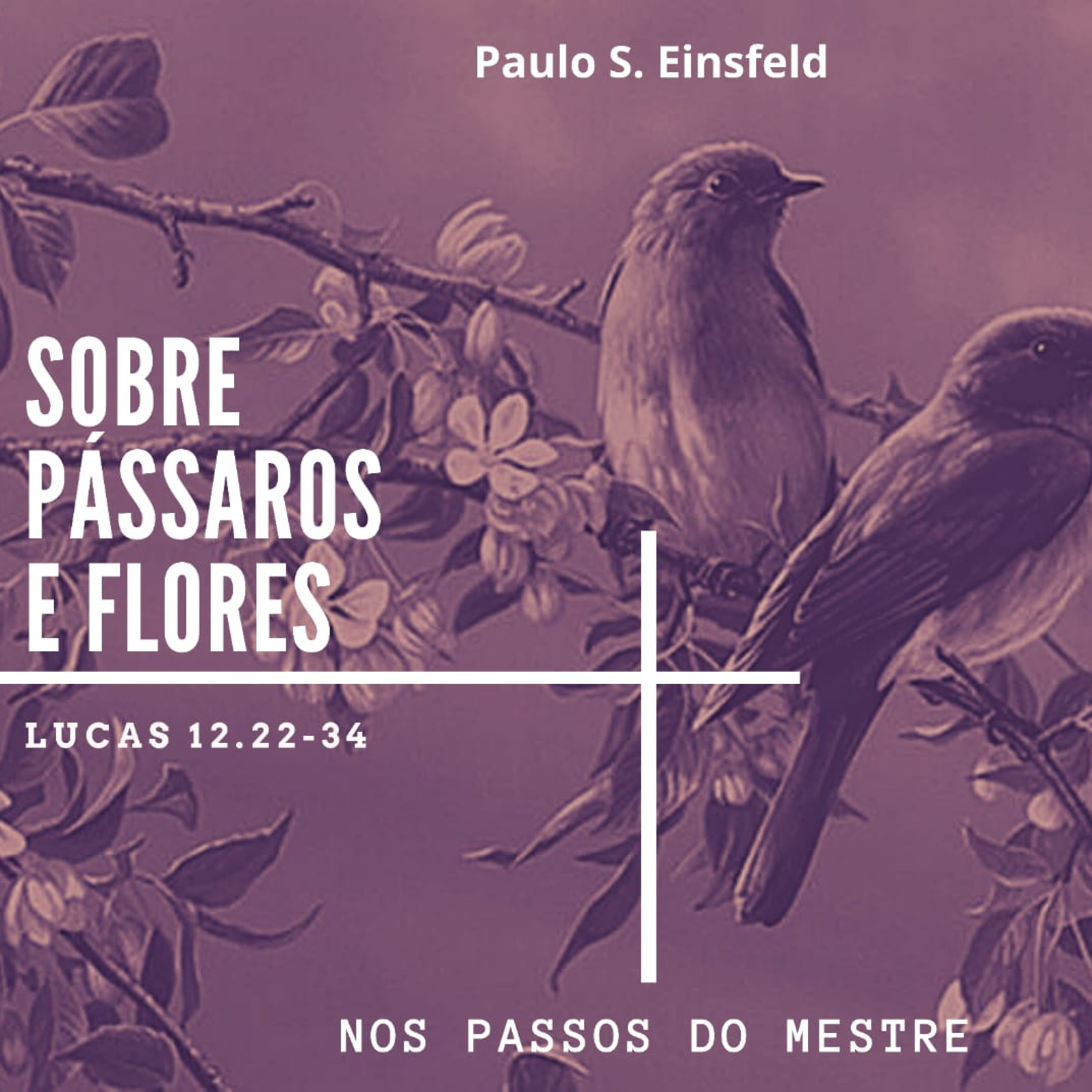 Sobre pássaros e flores episode artwork