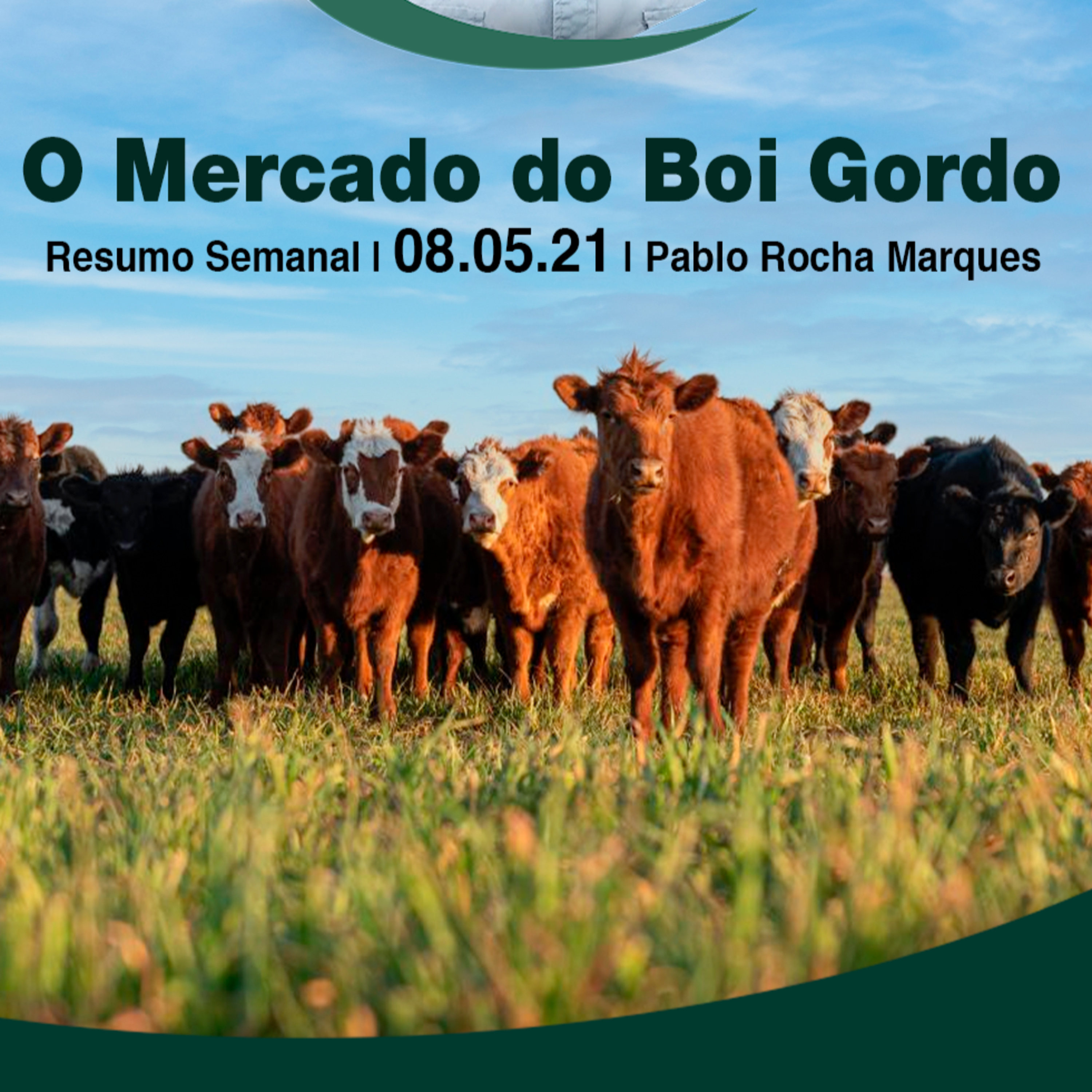 Pecuária PRM — Conteúdo Exclusivo