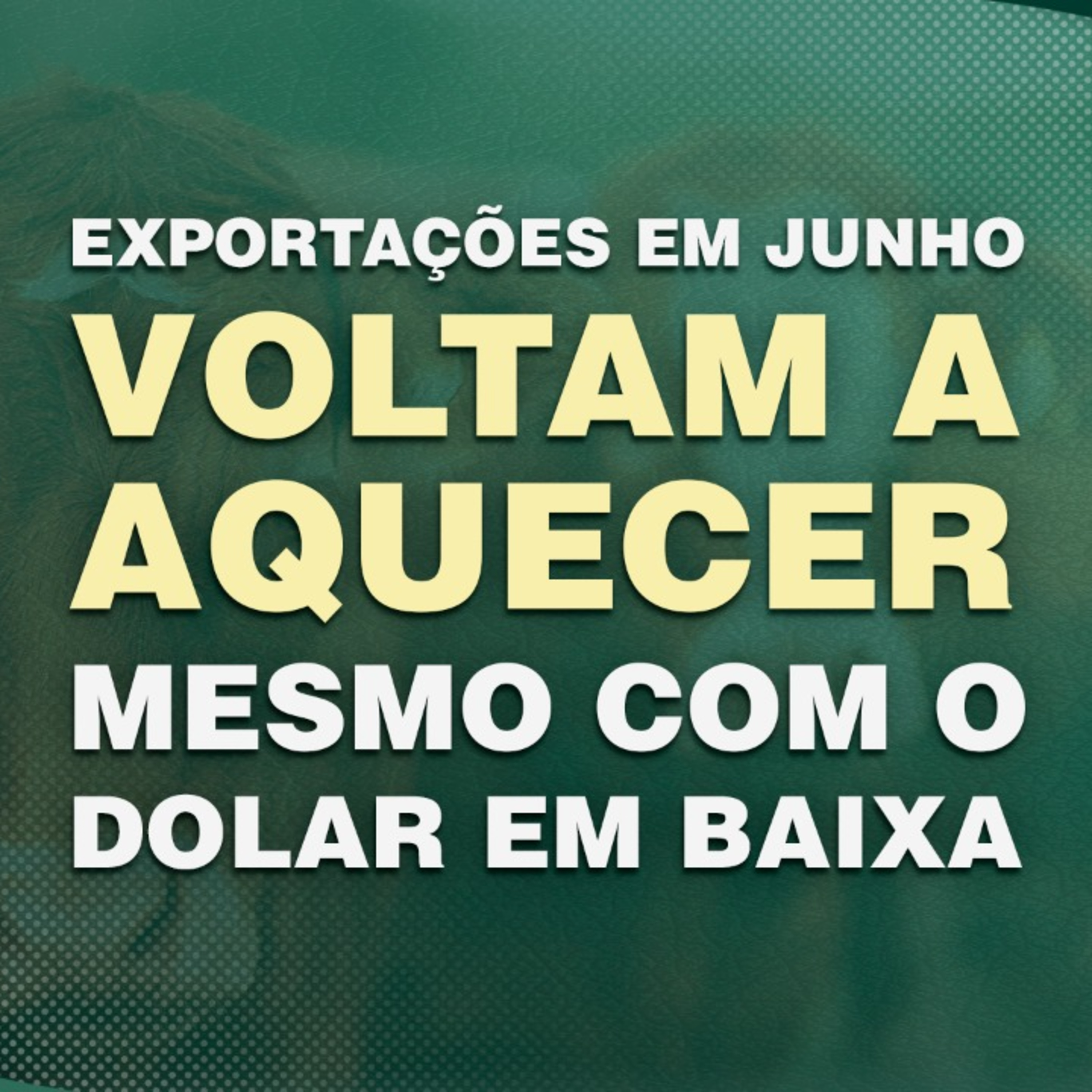 Pecuária PRM — Conteúdo Exclusivo