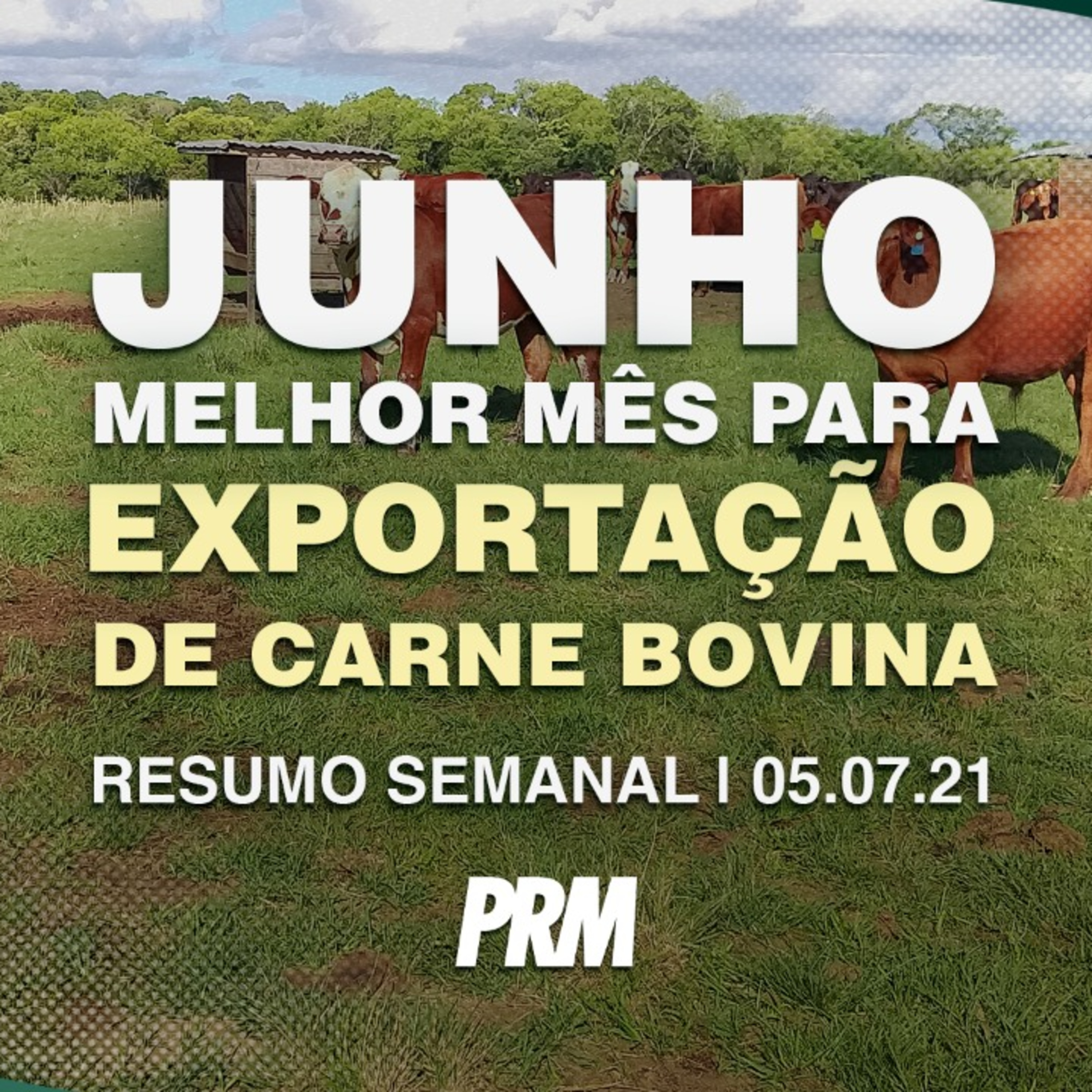 Pecuária PRM — Conteúdo Exclusivo
